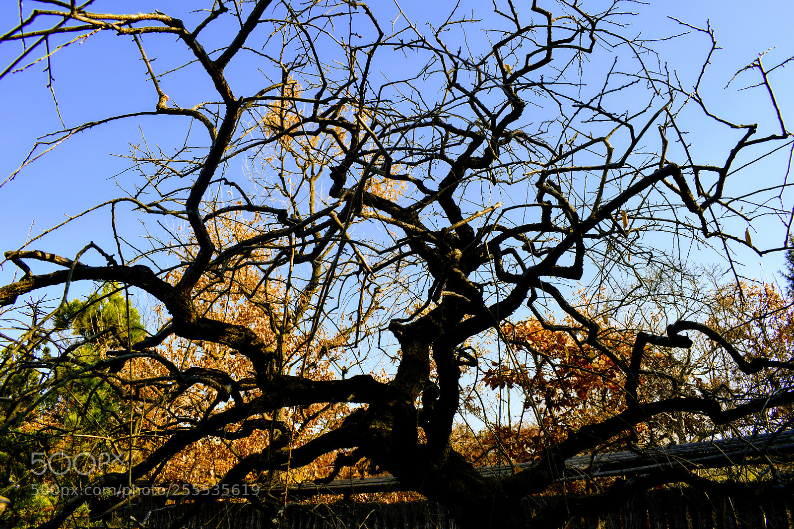 Nikon D3300 sample photo. Dsc photography