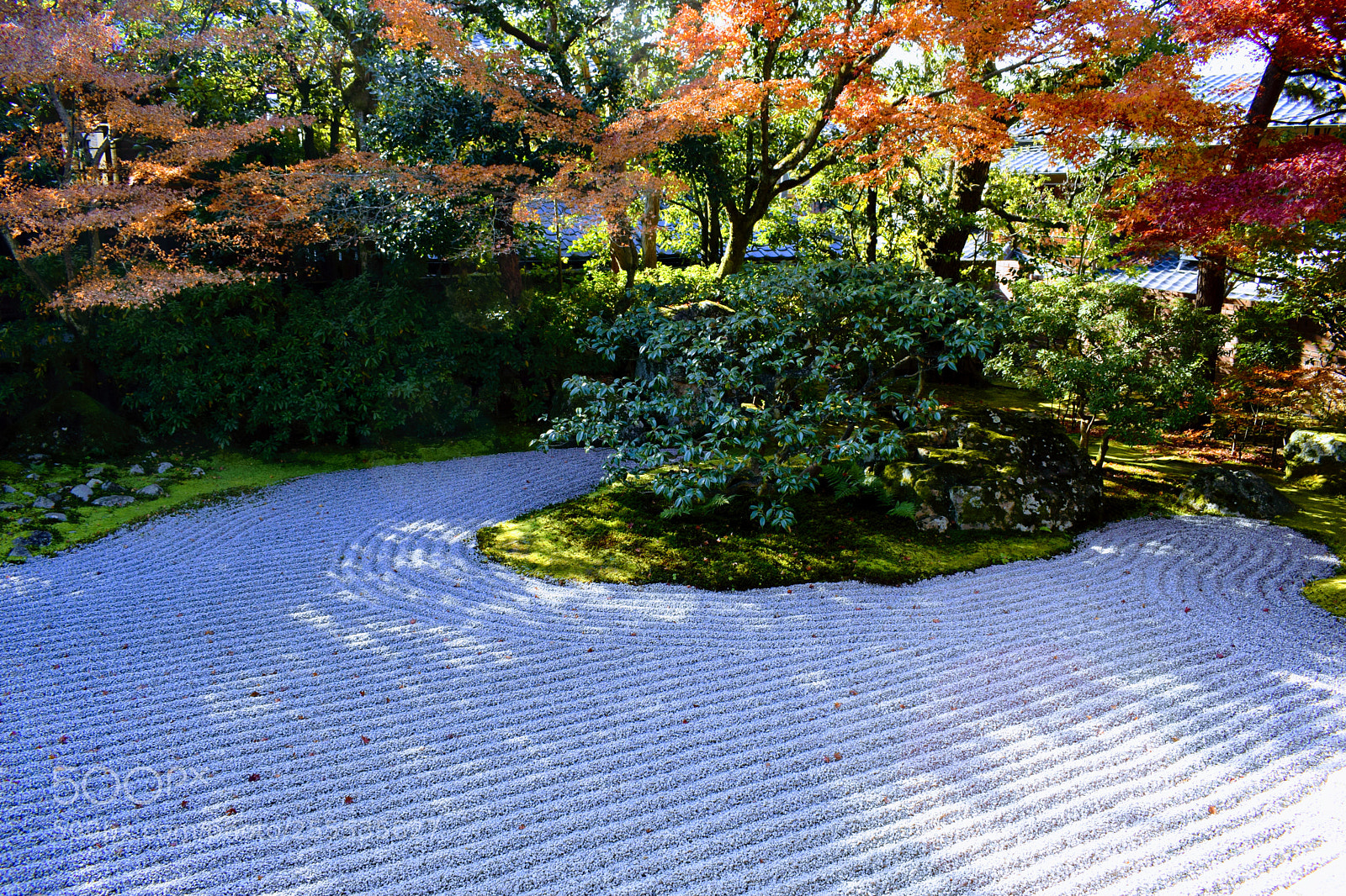 Nikon D3300 sample photo. Japanese zen garden photography
