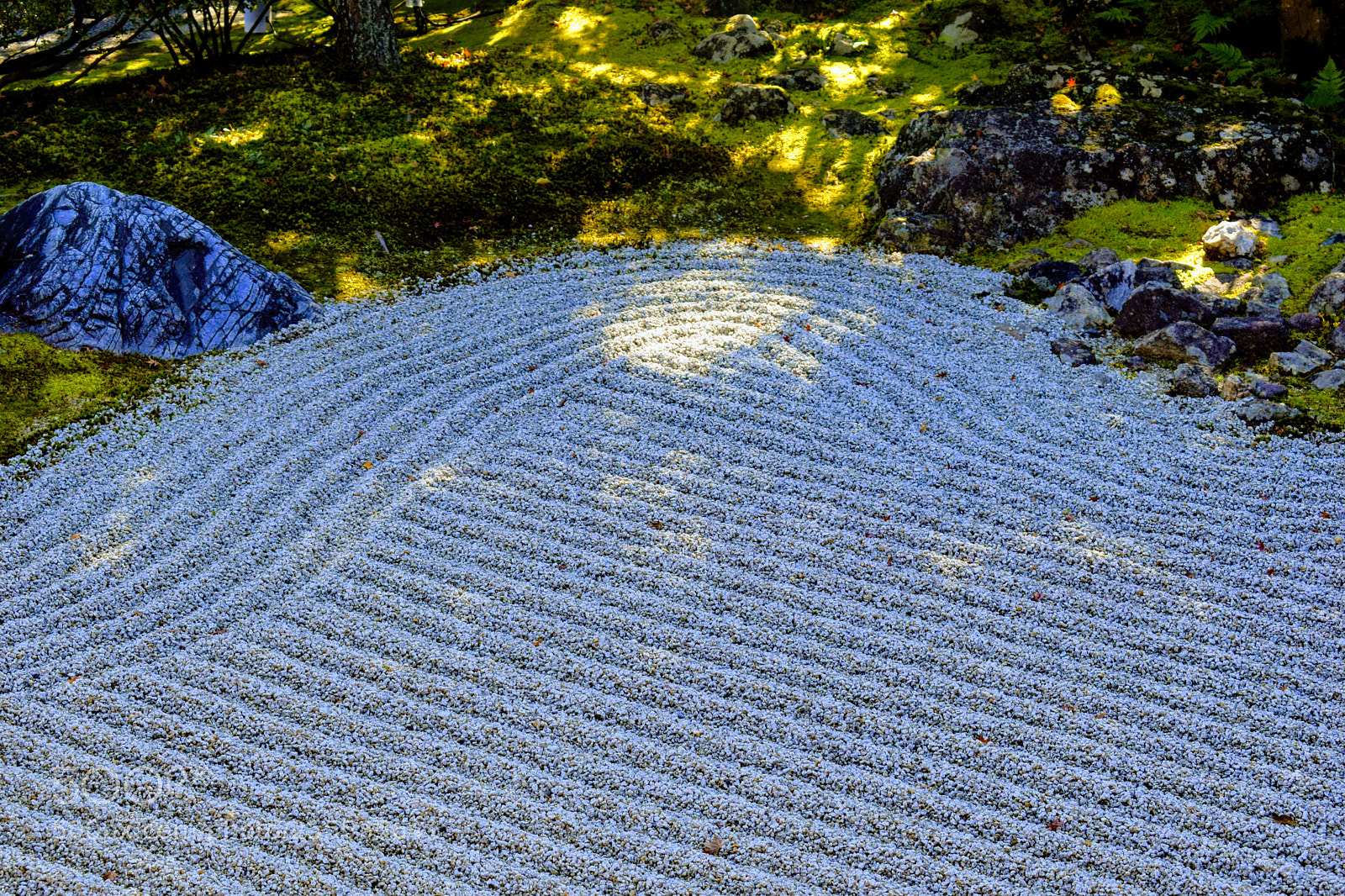 Nikon D3300 sample photo. Dsc photography