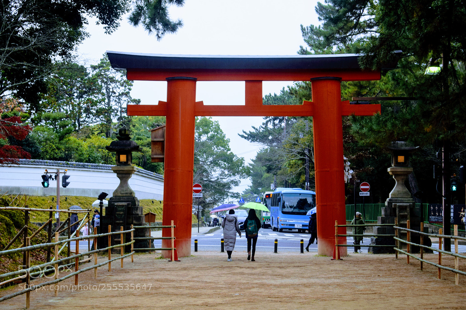 Nikon D3300 sample photo. Dsc photography
