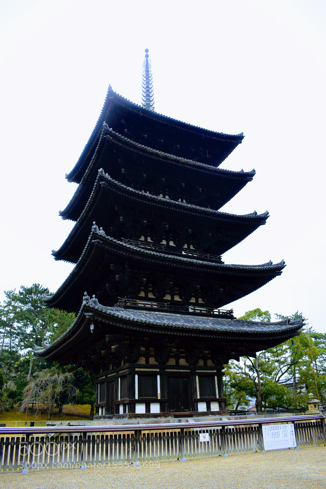 Nikon D3300 sample photo. Dsc photography