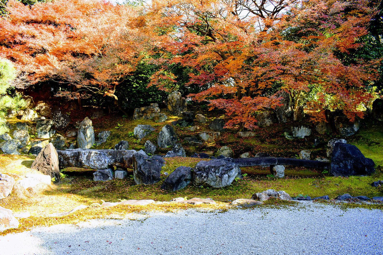 Nikon D3300 sample photo. () photography