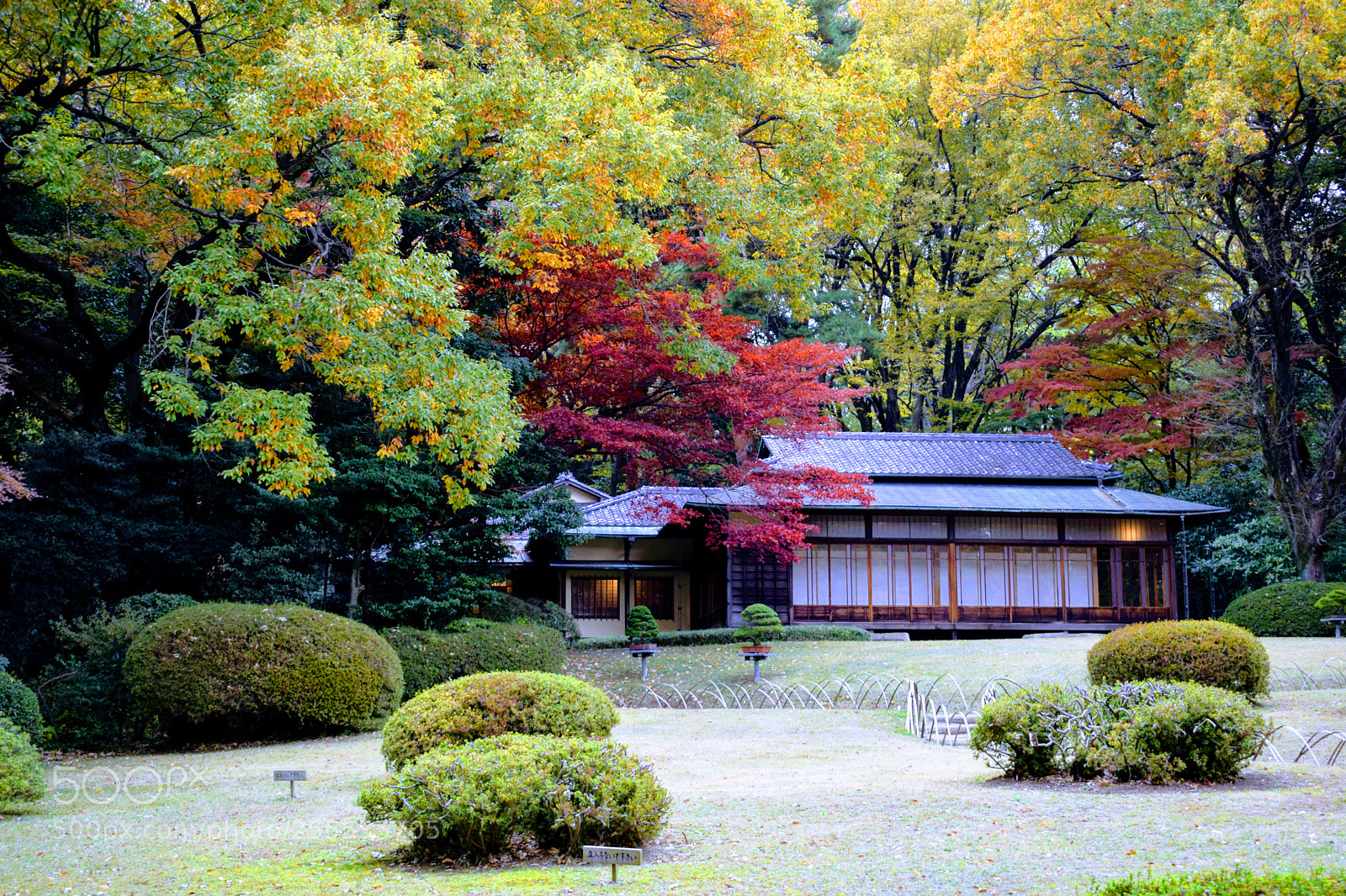 Nikon D3300 sample photo. Dsc photography