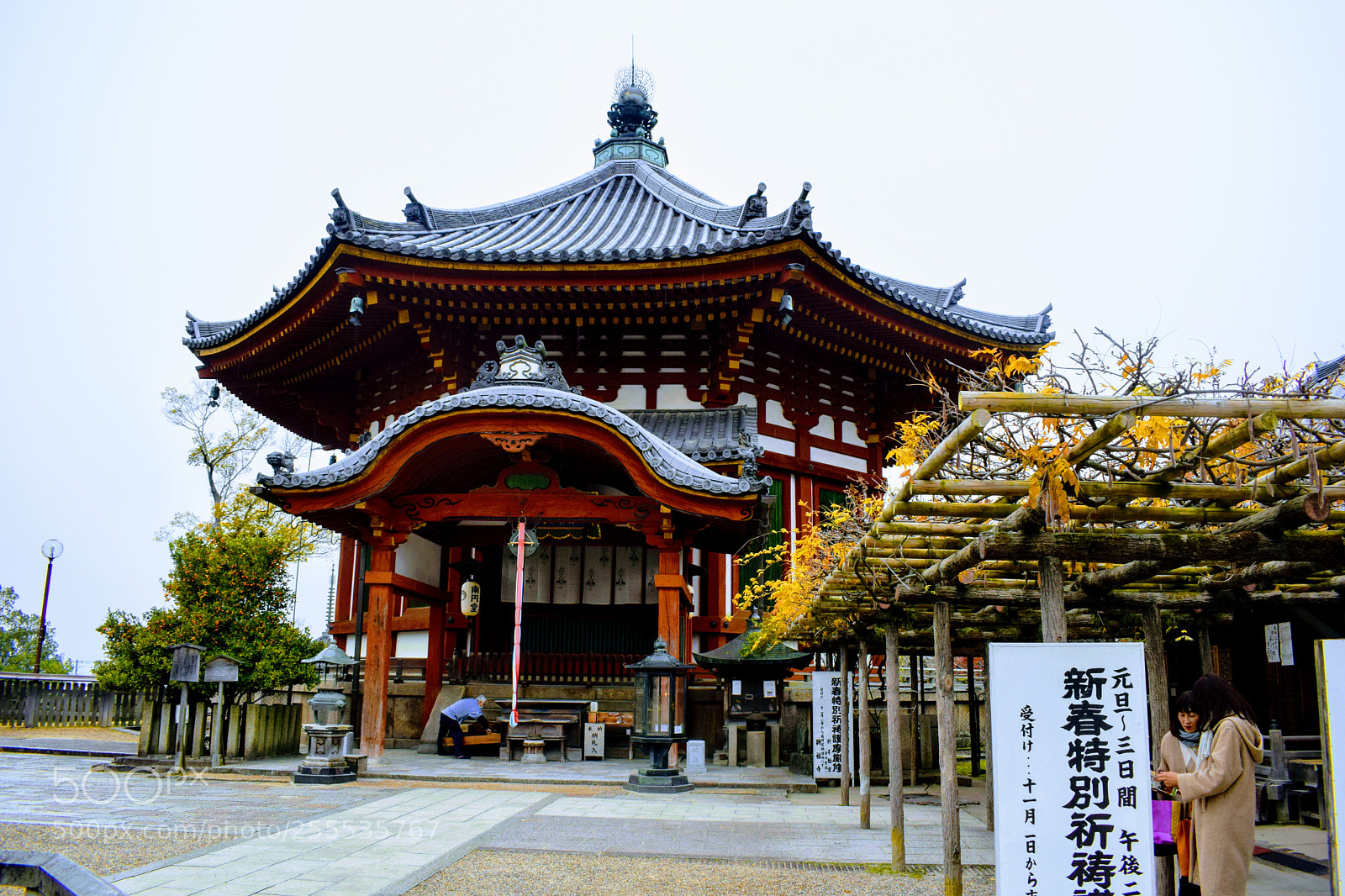 Nikon D3300 sample photo. Dsc photography