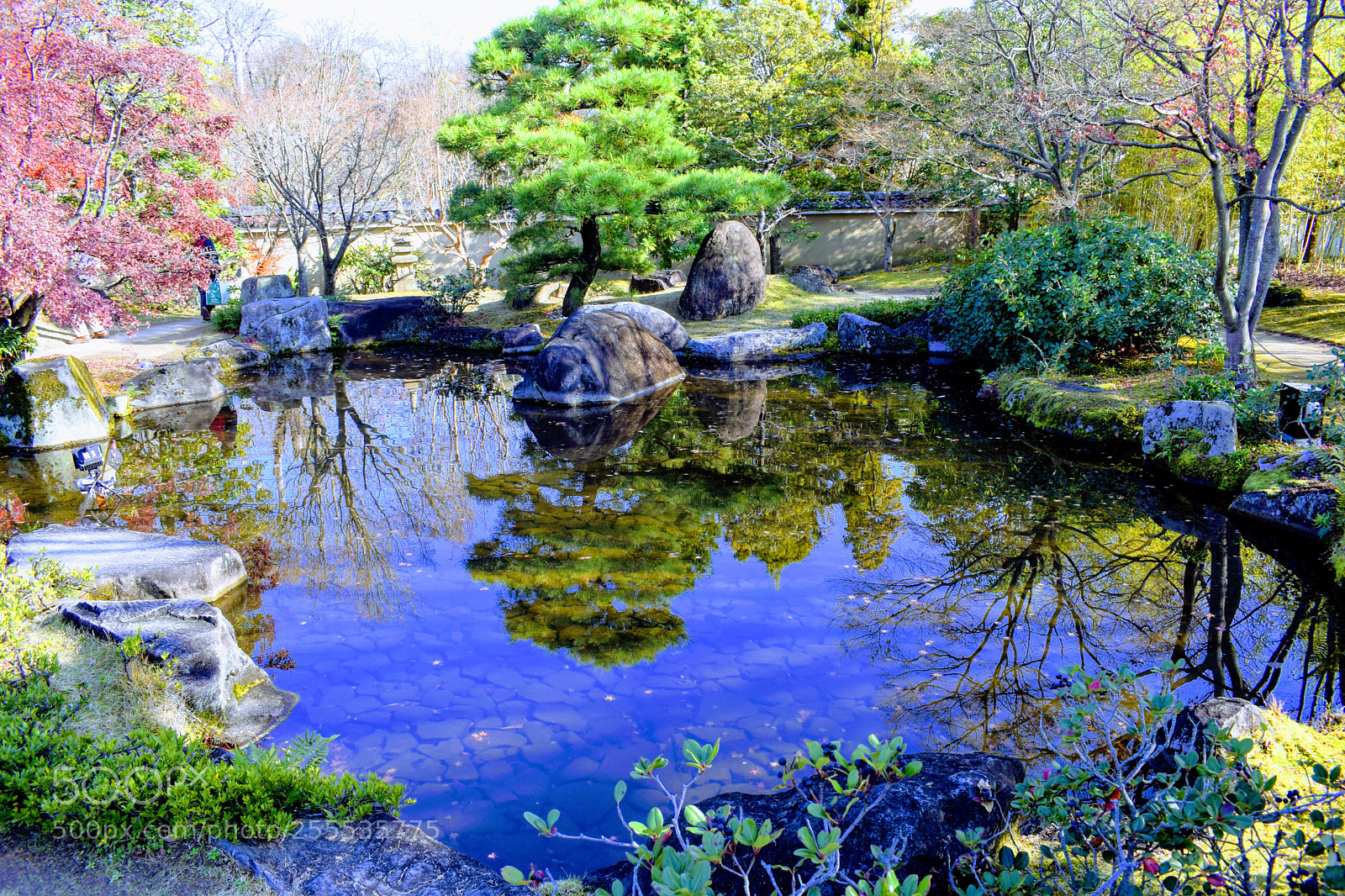 Nikon D3300 sample photo. Japanese park photography