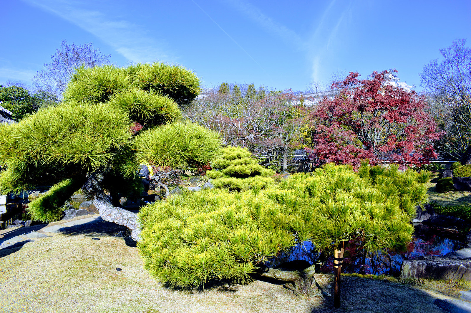 Nikon D3300 sample photo. Dsc photography