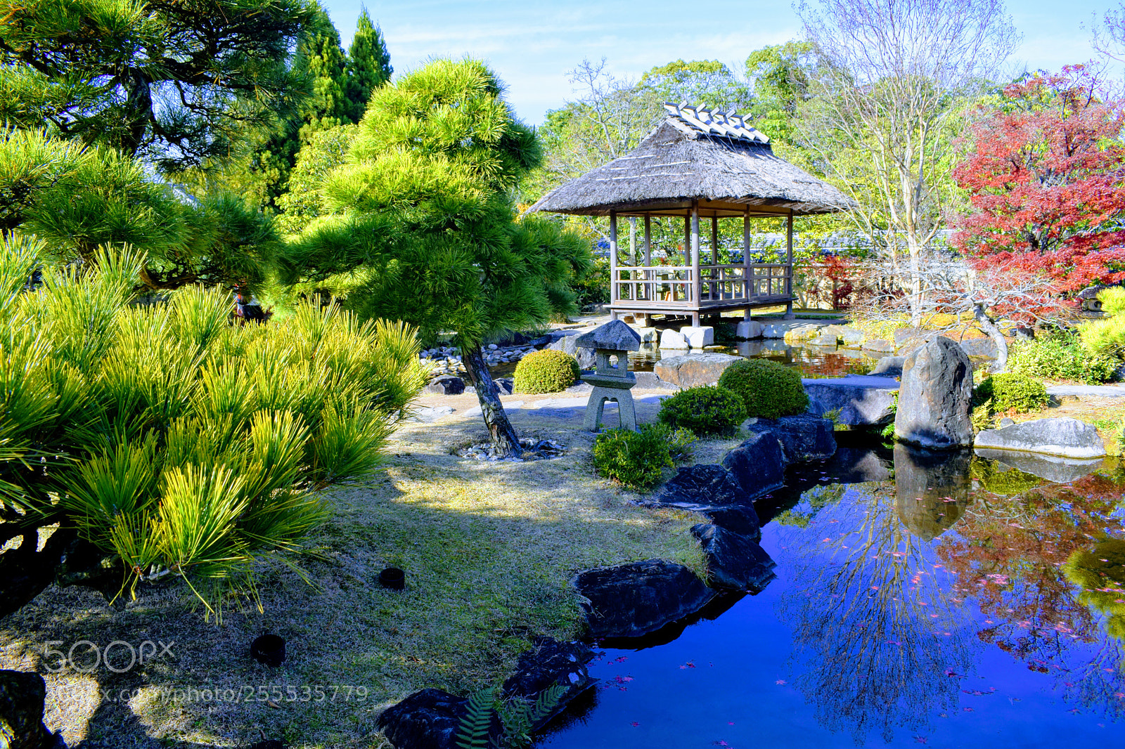 Nikon D3300 sample photo. Dsc photography