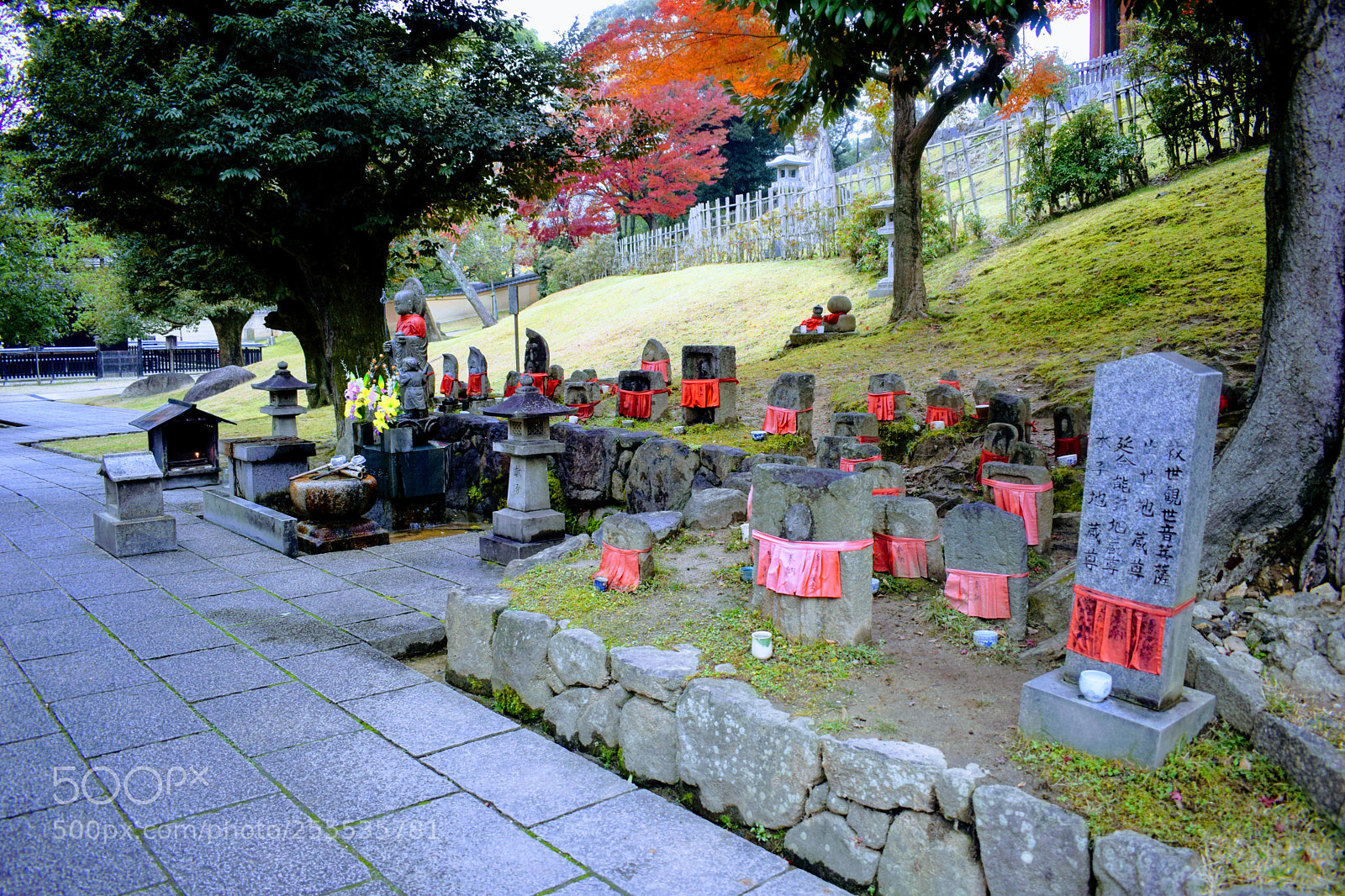 Nikon D3300 sample photo. () photography