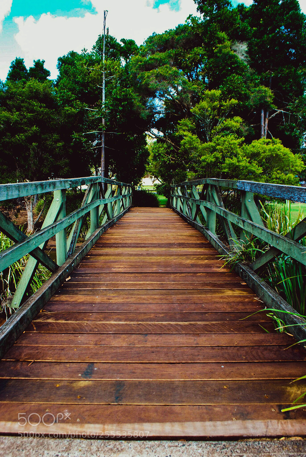 Nikon D60 sample photo. Pathway. photography