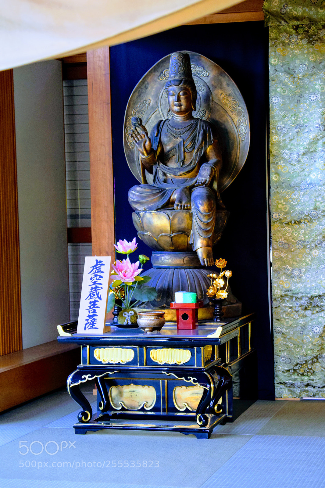 Nikon D3300 sample photo. Dsc photography