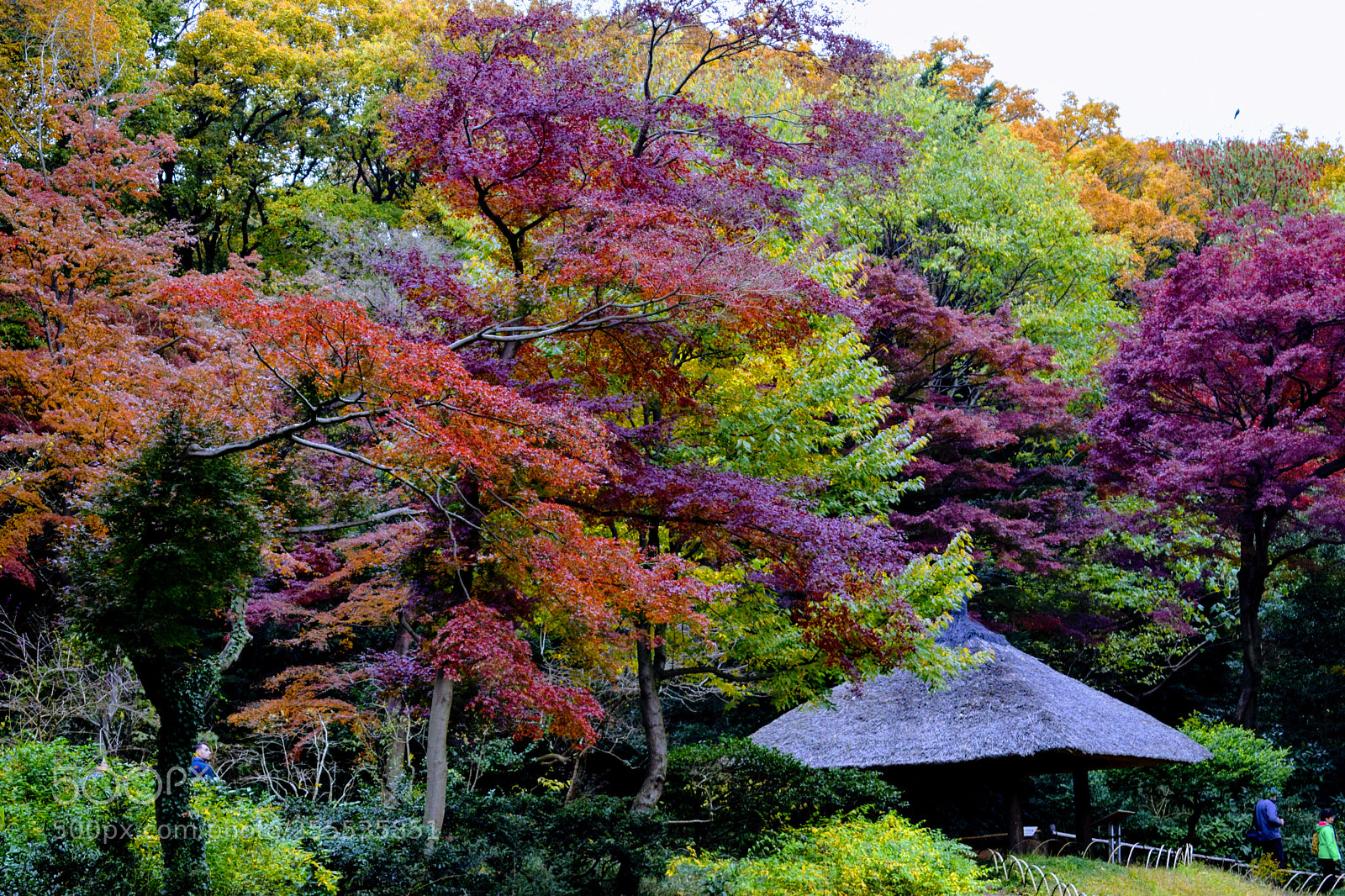 Nikon D3300 sample photo. Dsc photography