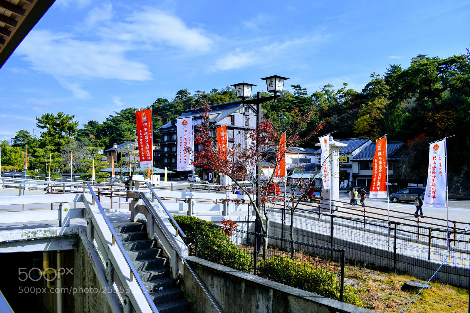 Nikon D3300 sample photo. Dsc photography