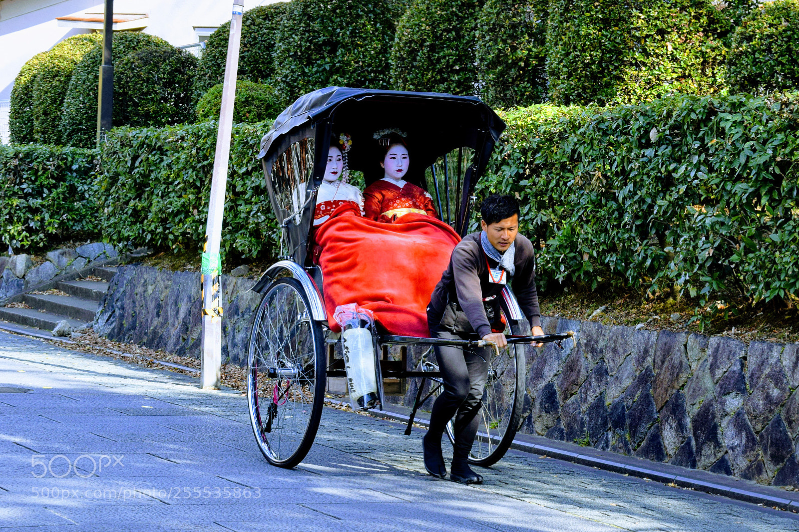 Nikon D3300 sample photo. Dsc photography
