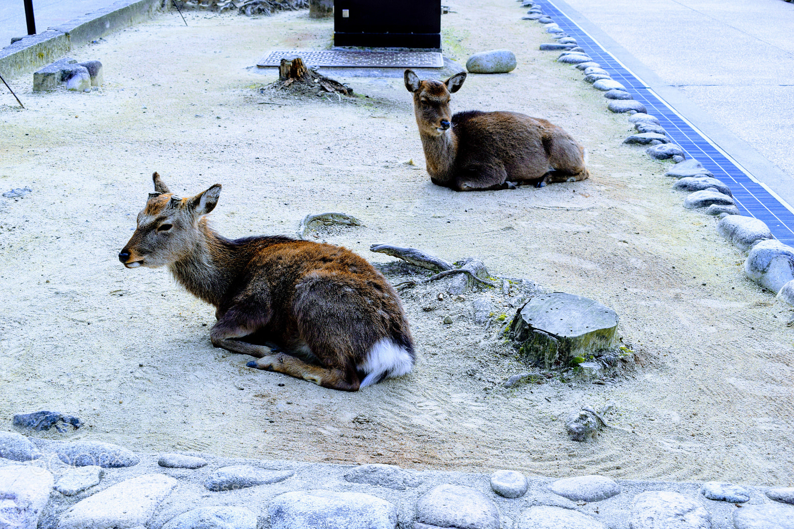 Nikon D3300 sample photo. Dsc photography