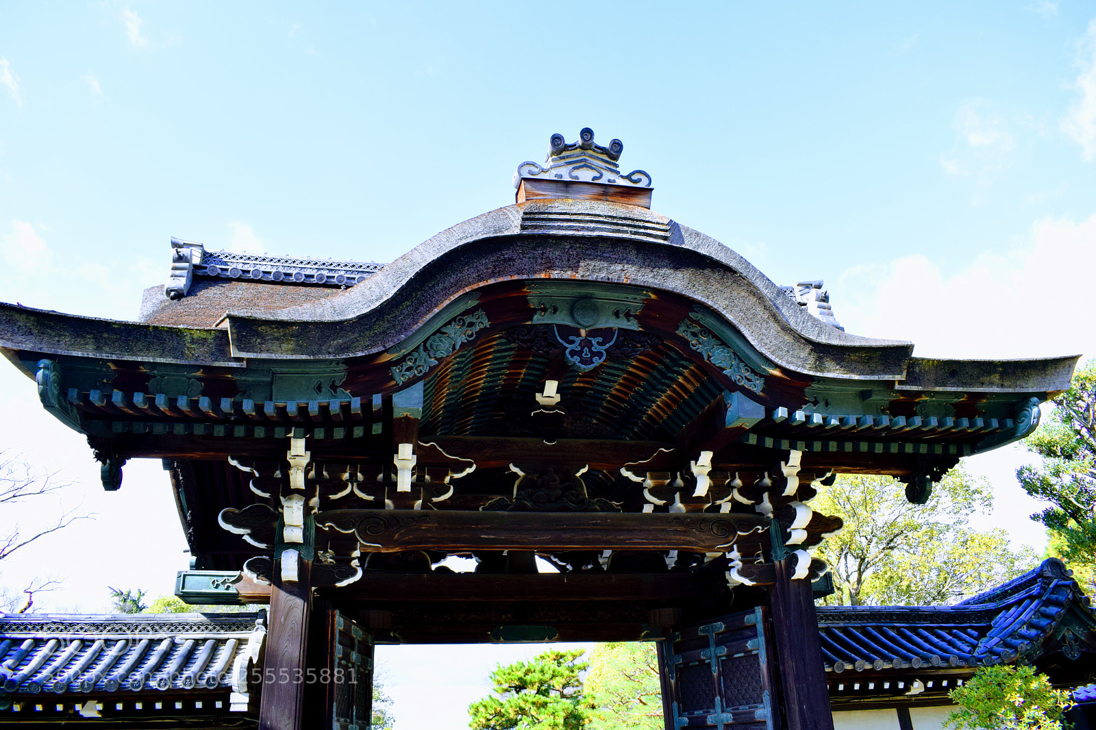 Nikon D3300 sample photo. Dsc photography