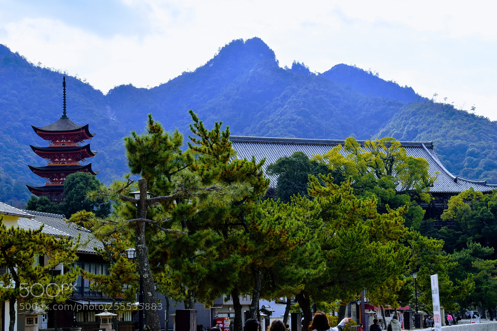 Nikon D3300 sample photo. () photography