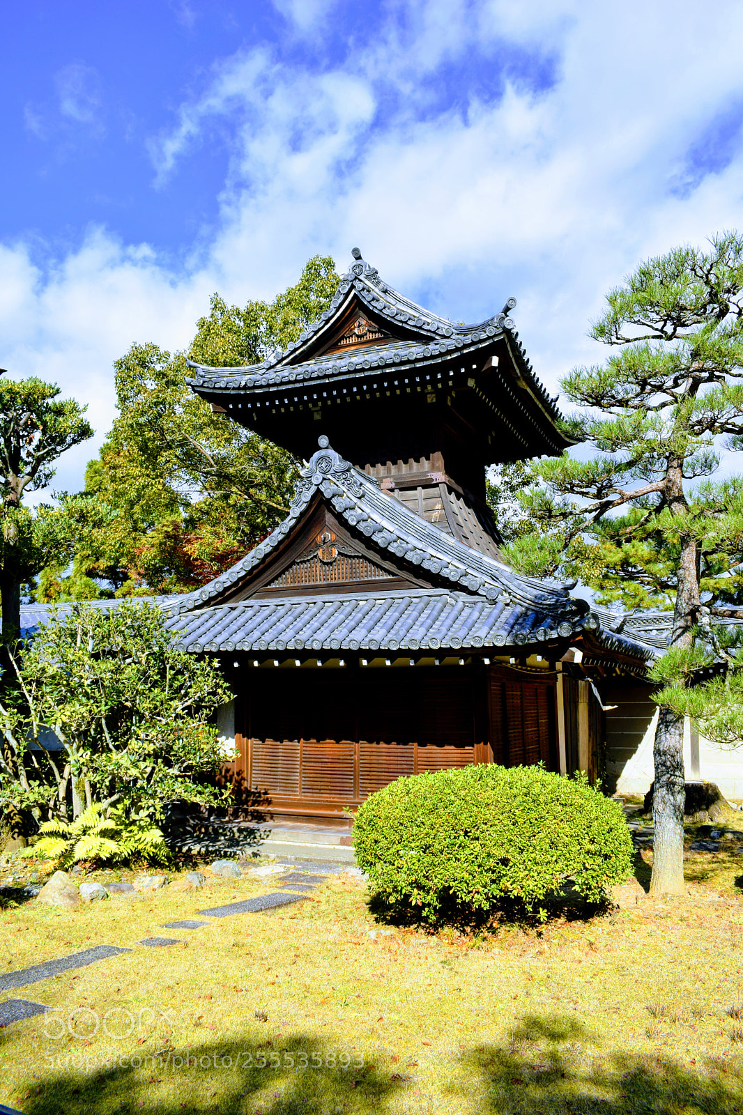 Nikon D3300 sample photo. Dsc photography