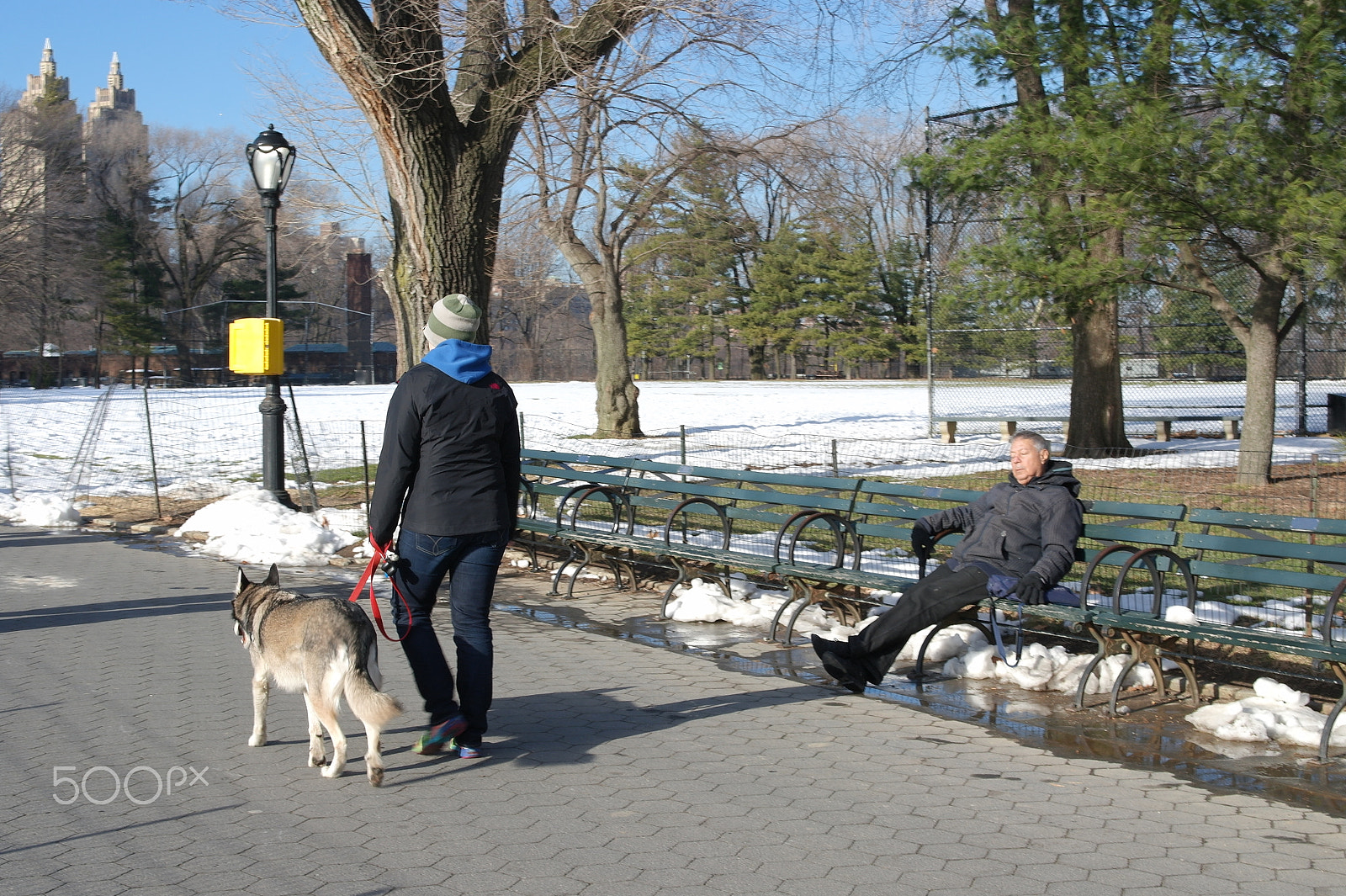 Samsung NX100 sample photo. Nyc central park photography