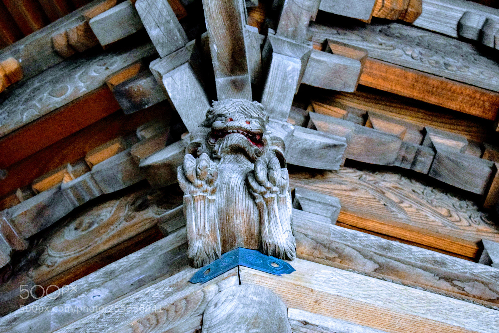 Nikon D3300 sample photo. Dsc photography