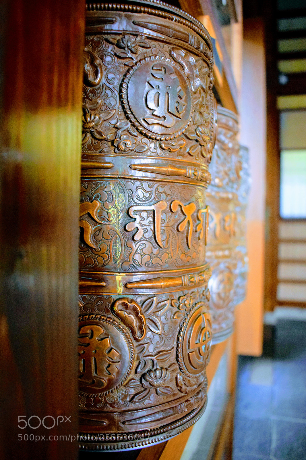 Nikon D3300 sample photo. Dsc photography