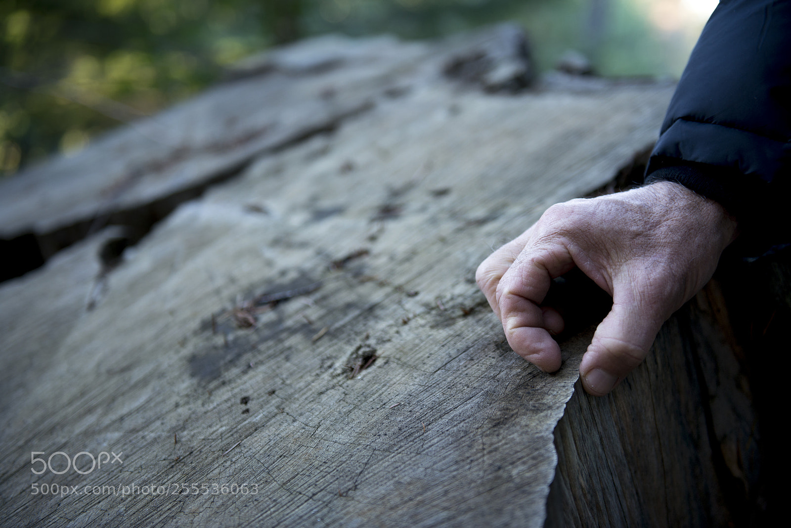 Nikon D610 sample photo. 60 years photography