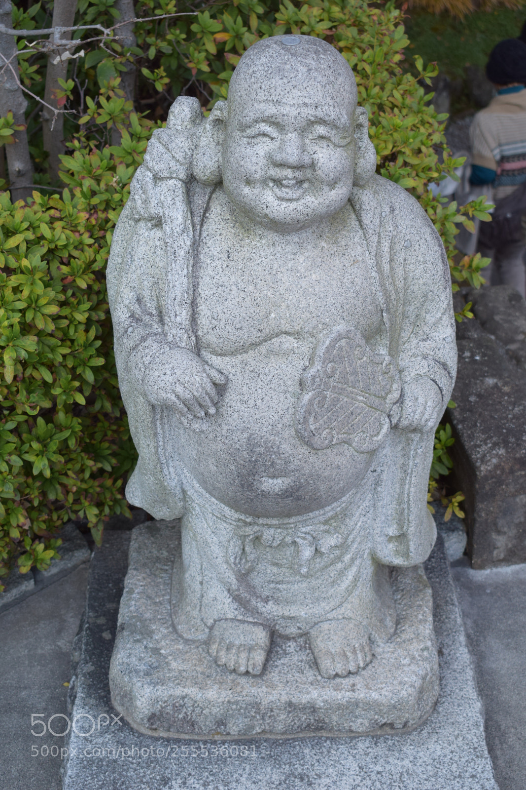 Nikon D3300 sample photo. Dsc photography