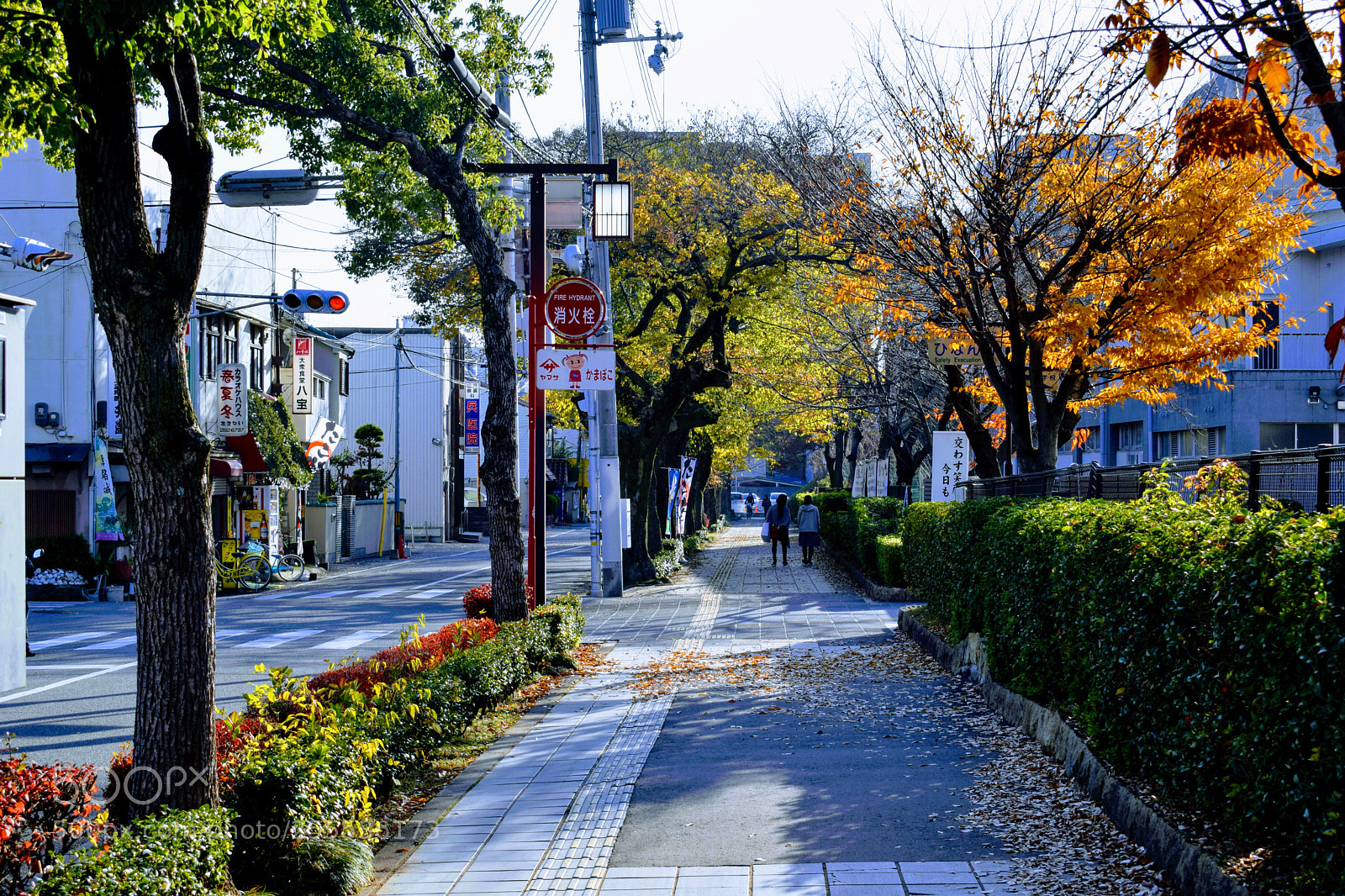 Nikon D3300 sample photo. () photography