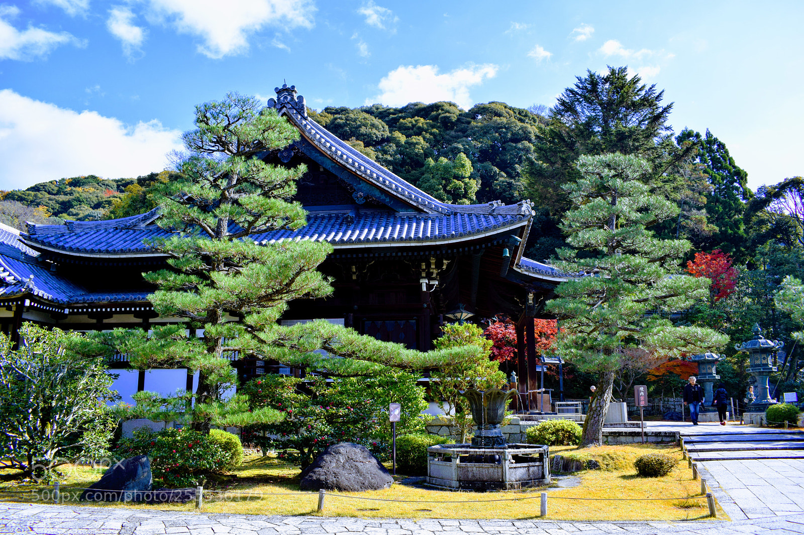 Nikon D3300 sample photo. Dsc photography