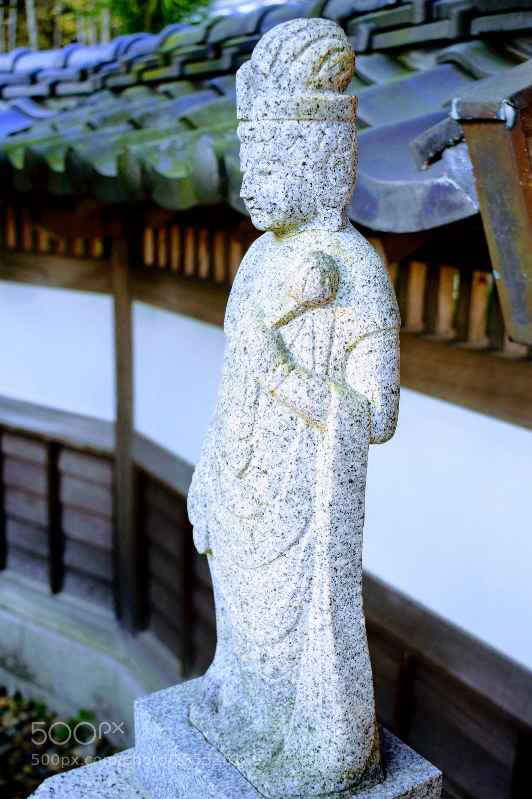 Nikon D3300 sample photo. Dsc photography