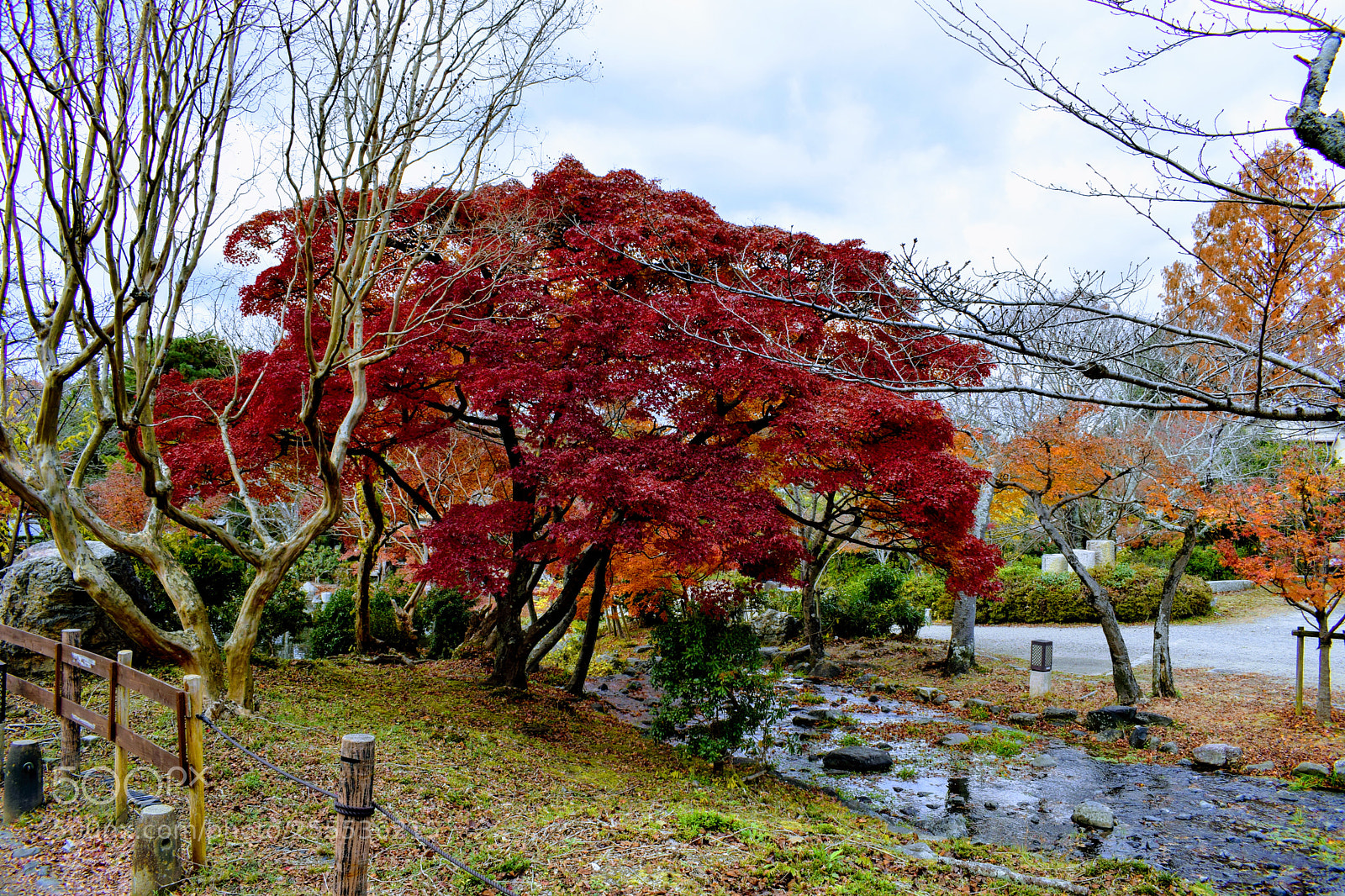 Nikon D3300 sample photo. Dsc photography