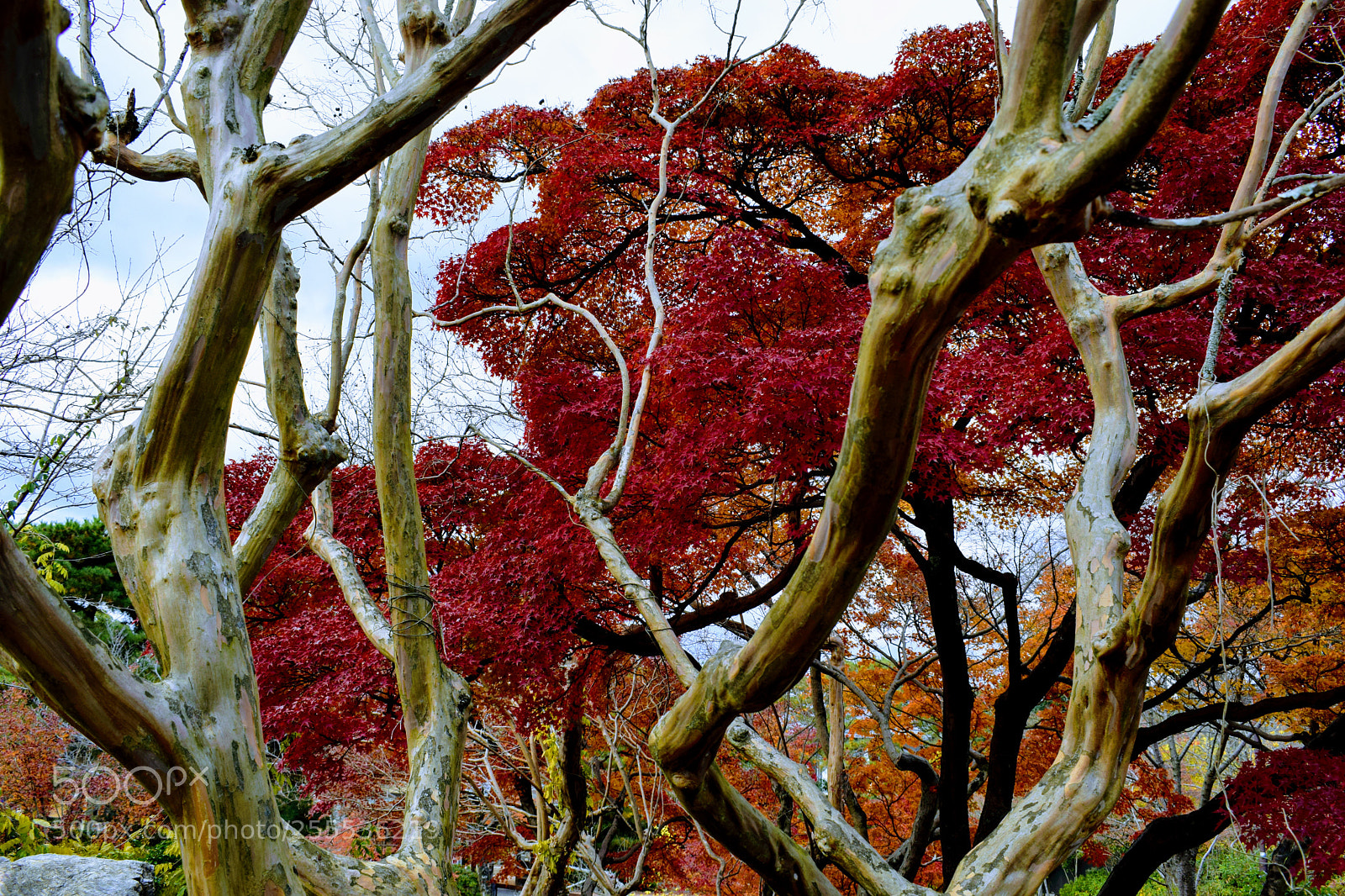 Nikon D3300 sample photo. Dsc photography