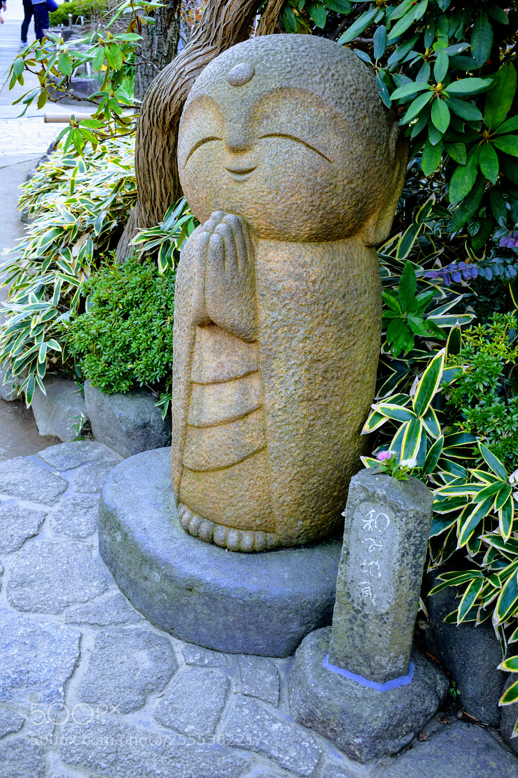 Nikon D3300 sample photo. Dsc photography