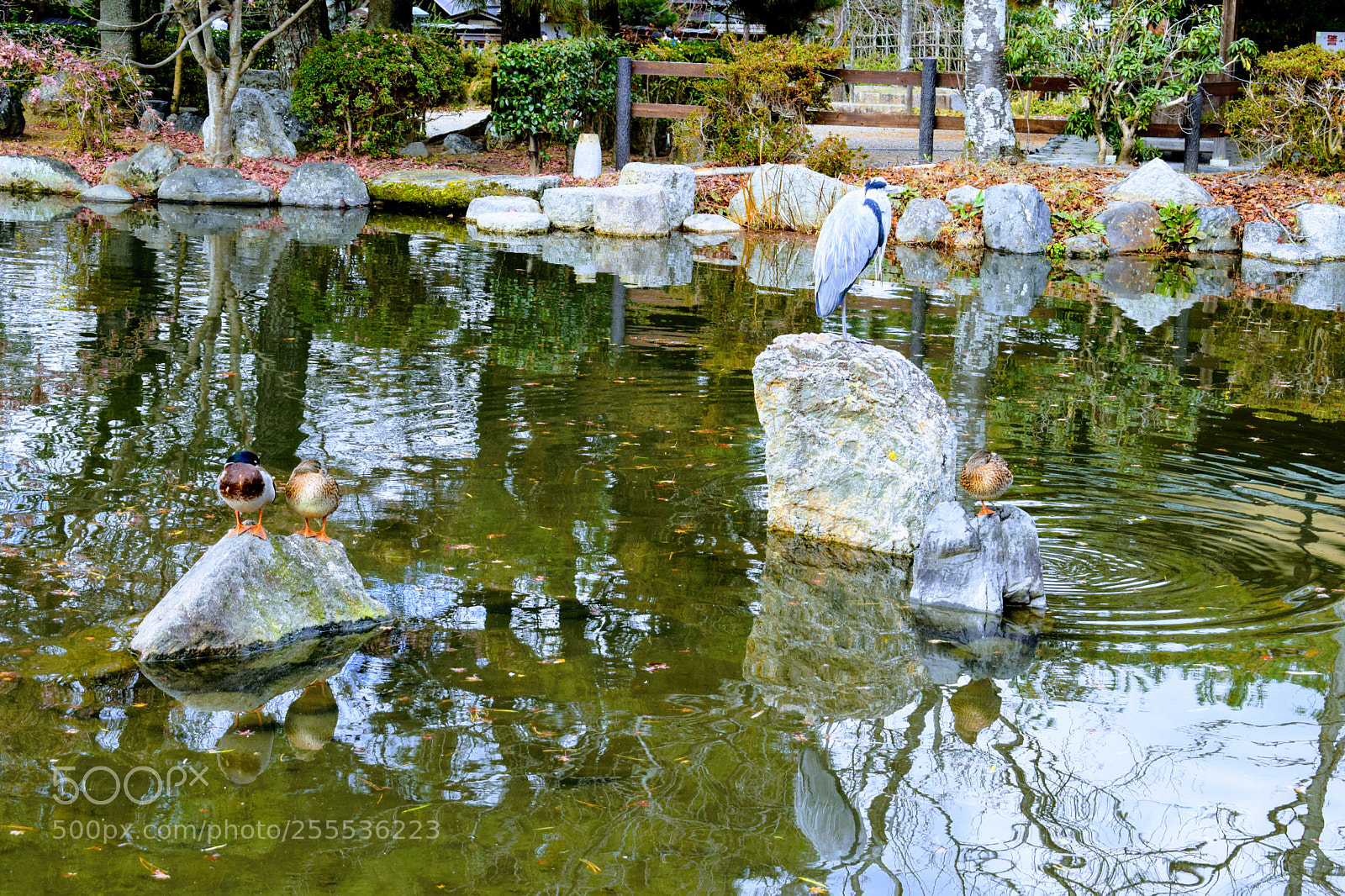 Nikon D3300 sample photo. () photography