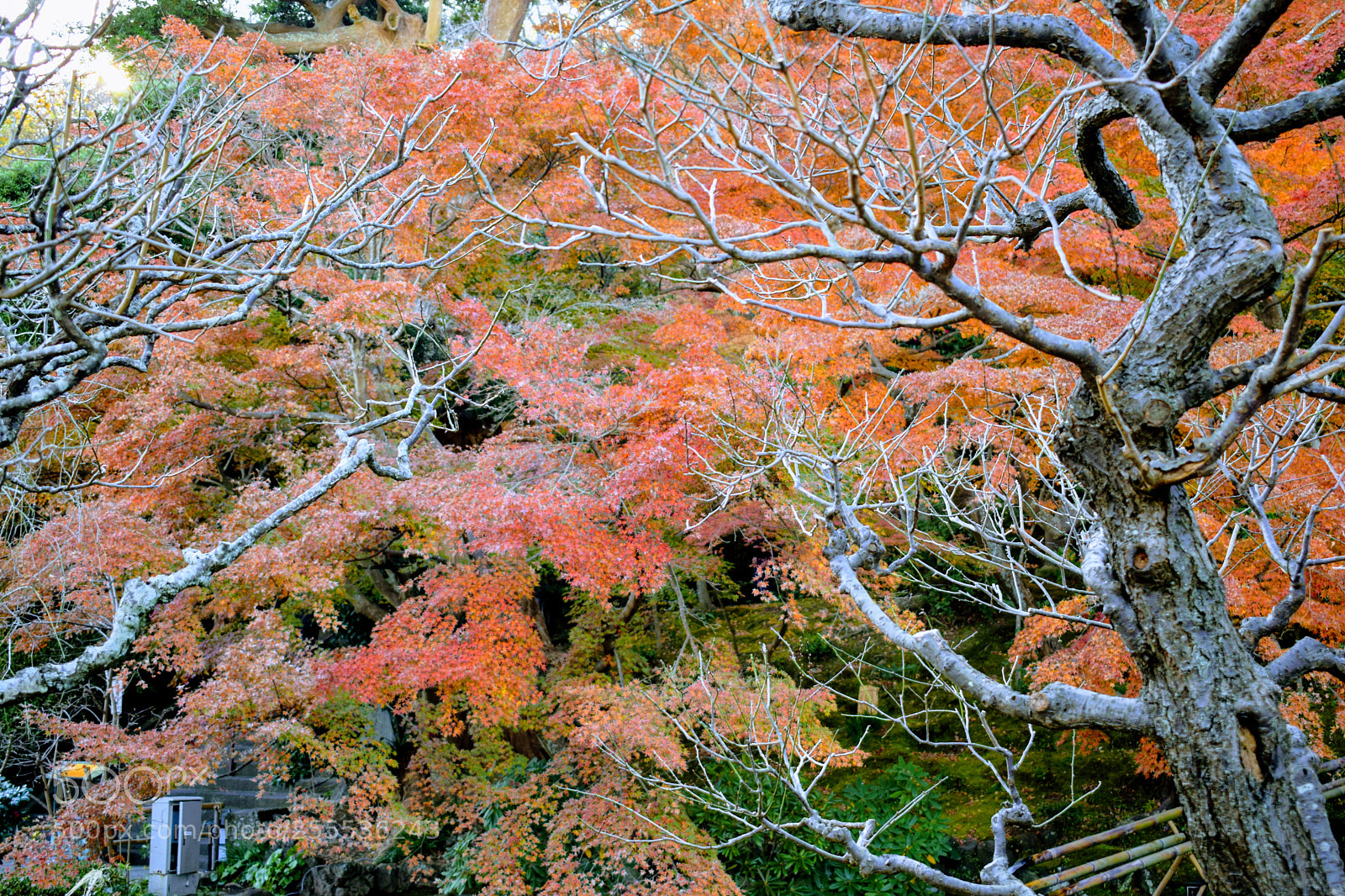 Nikon D3300 sample photo. Dsc photography