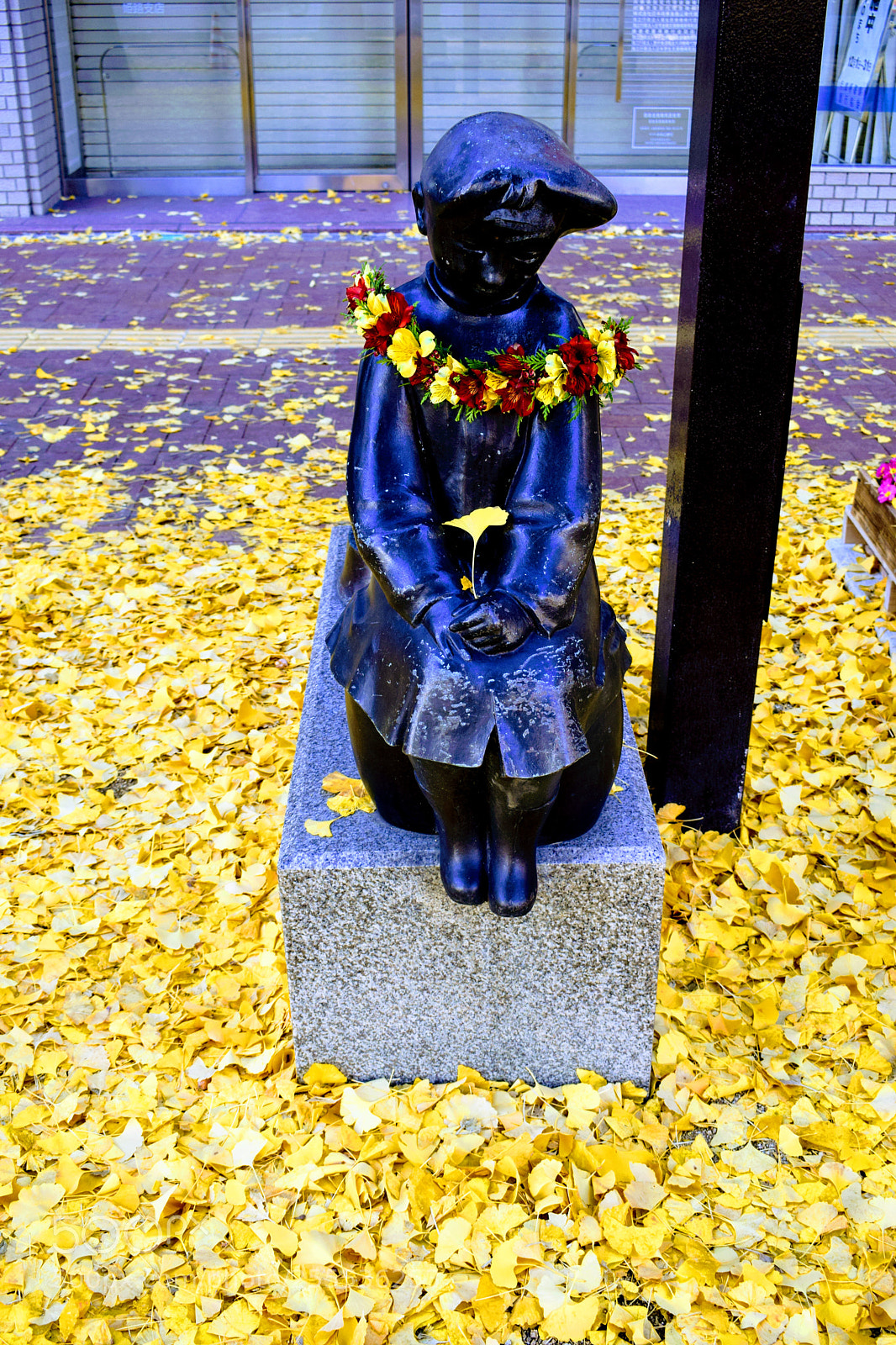 Nikon D3300 sample photo. Dsc photography
