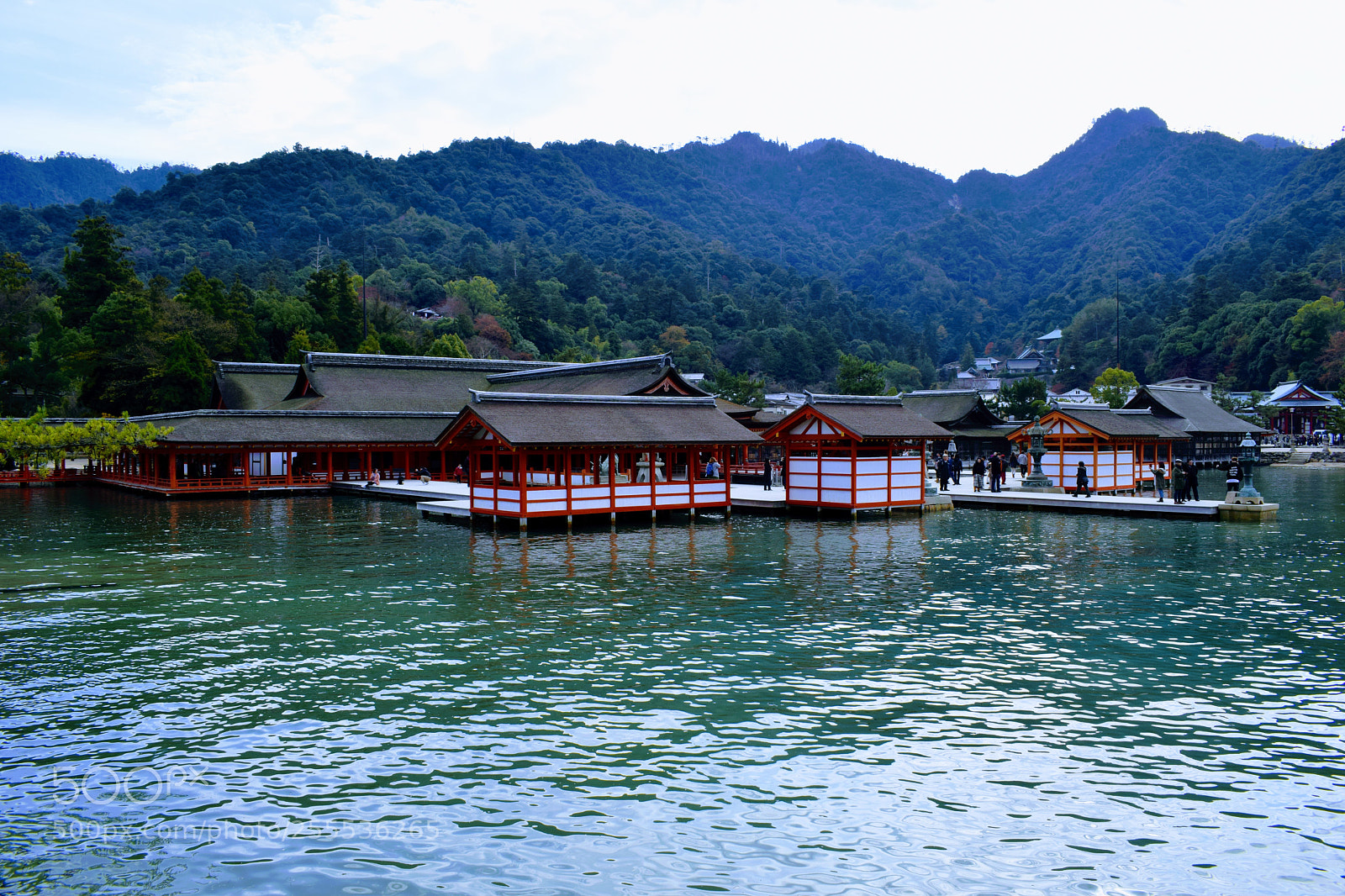 Nikon D3300 sample photo. Dsc photography