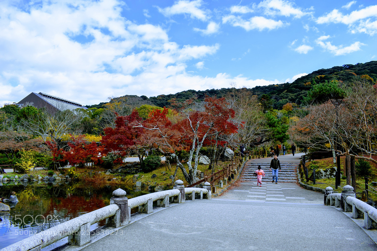 Nikon D3300 sample photo. Dsc photography