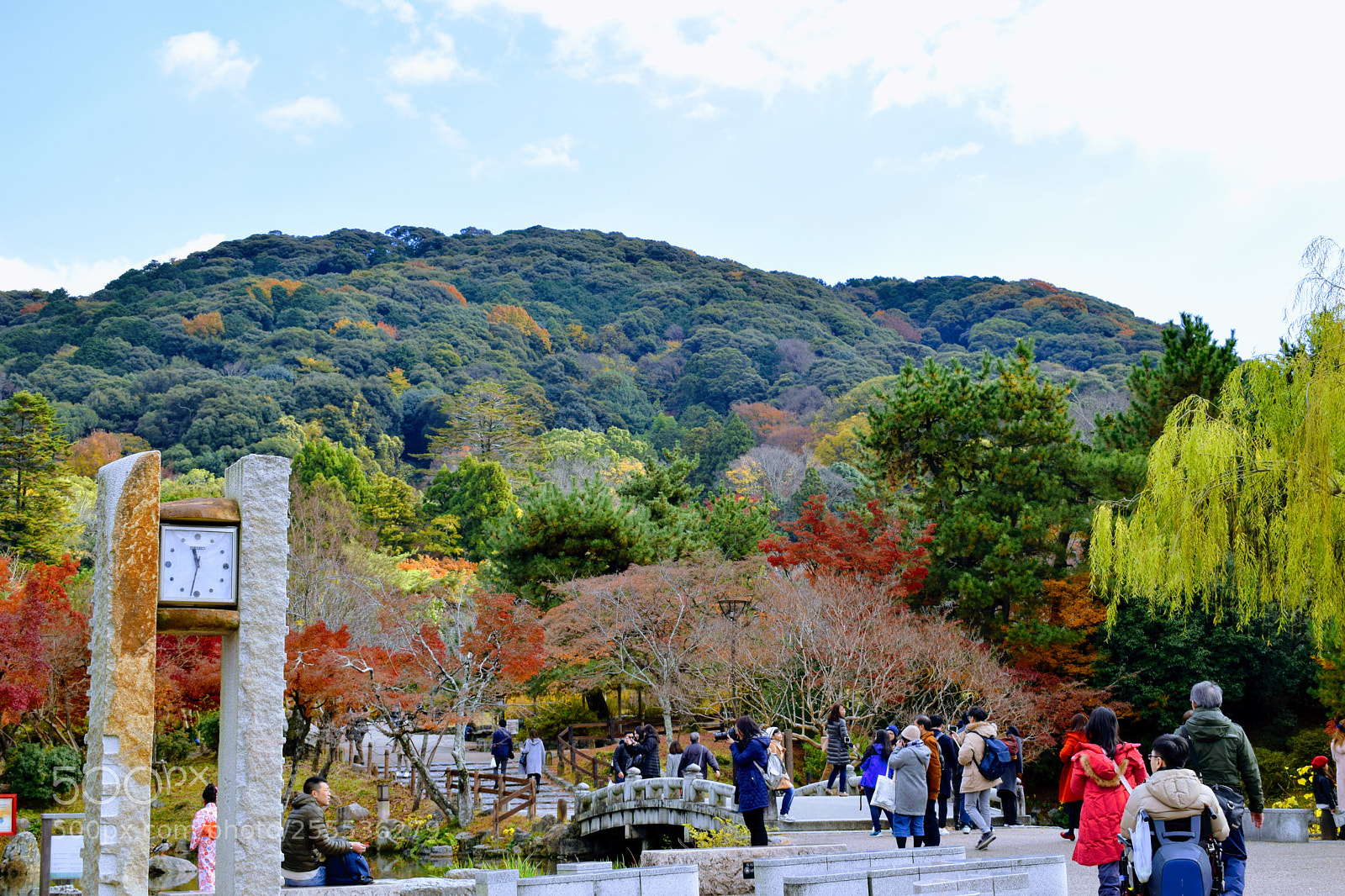 Nikon D3300 sample photo. Dsc photography