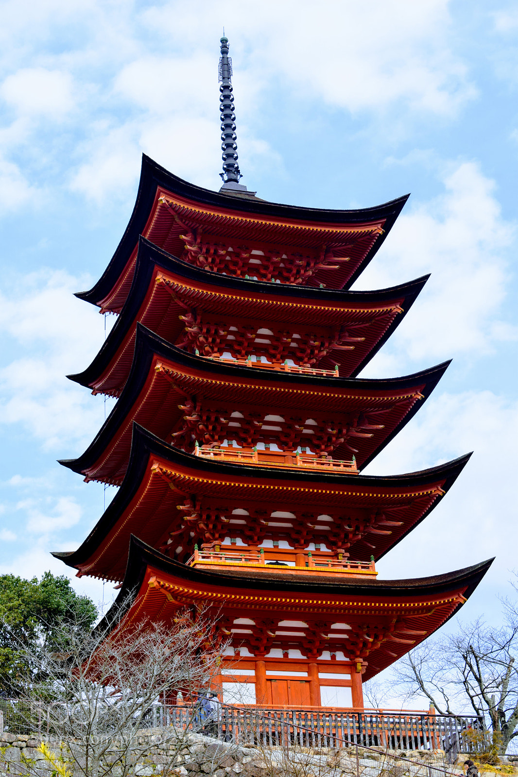 Nikon D3300 sample photo. () photography