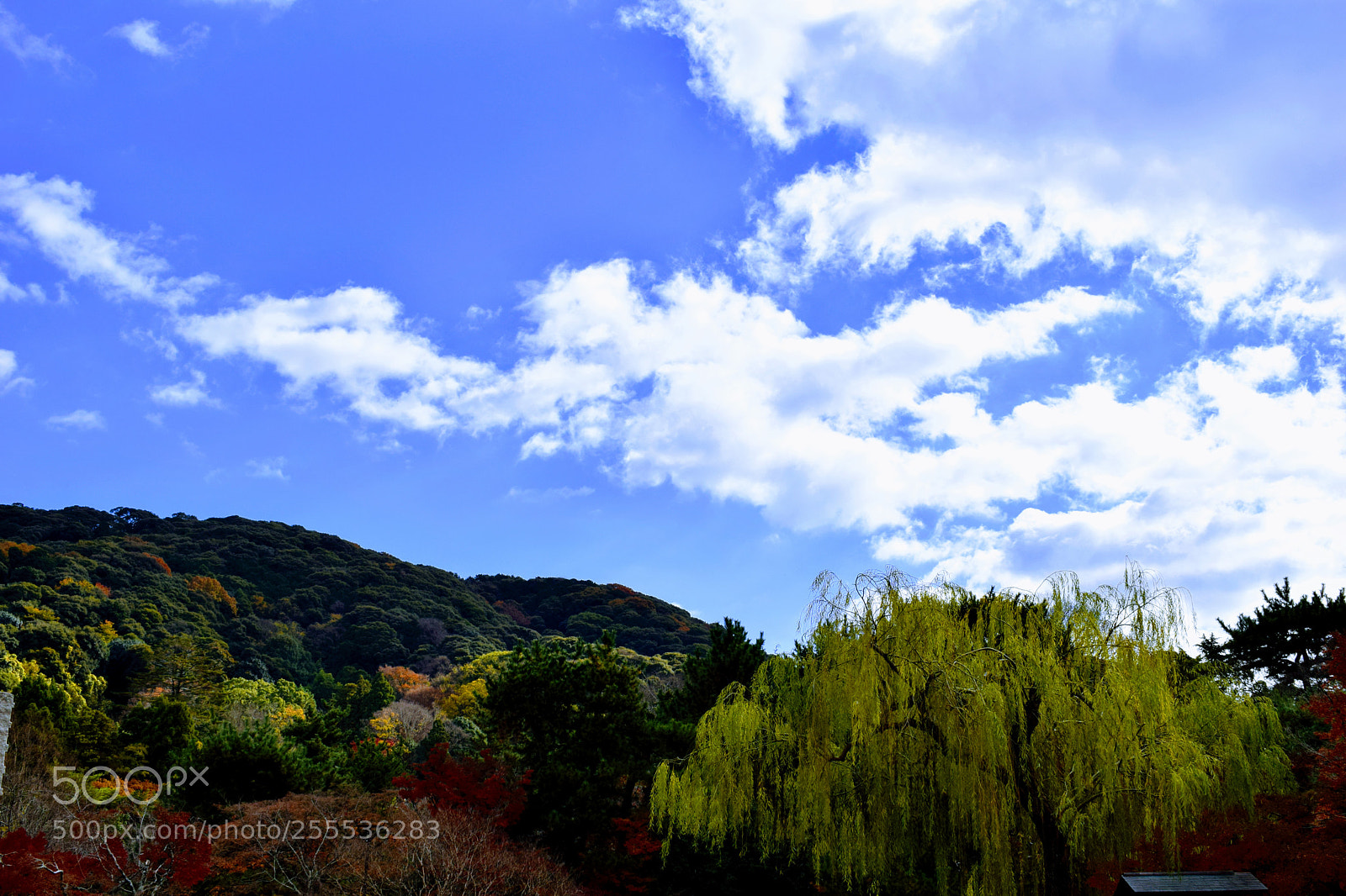 Nikon D3300 sample photo. Japanese sky photography