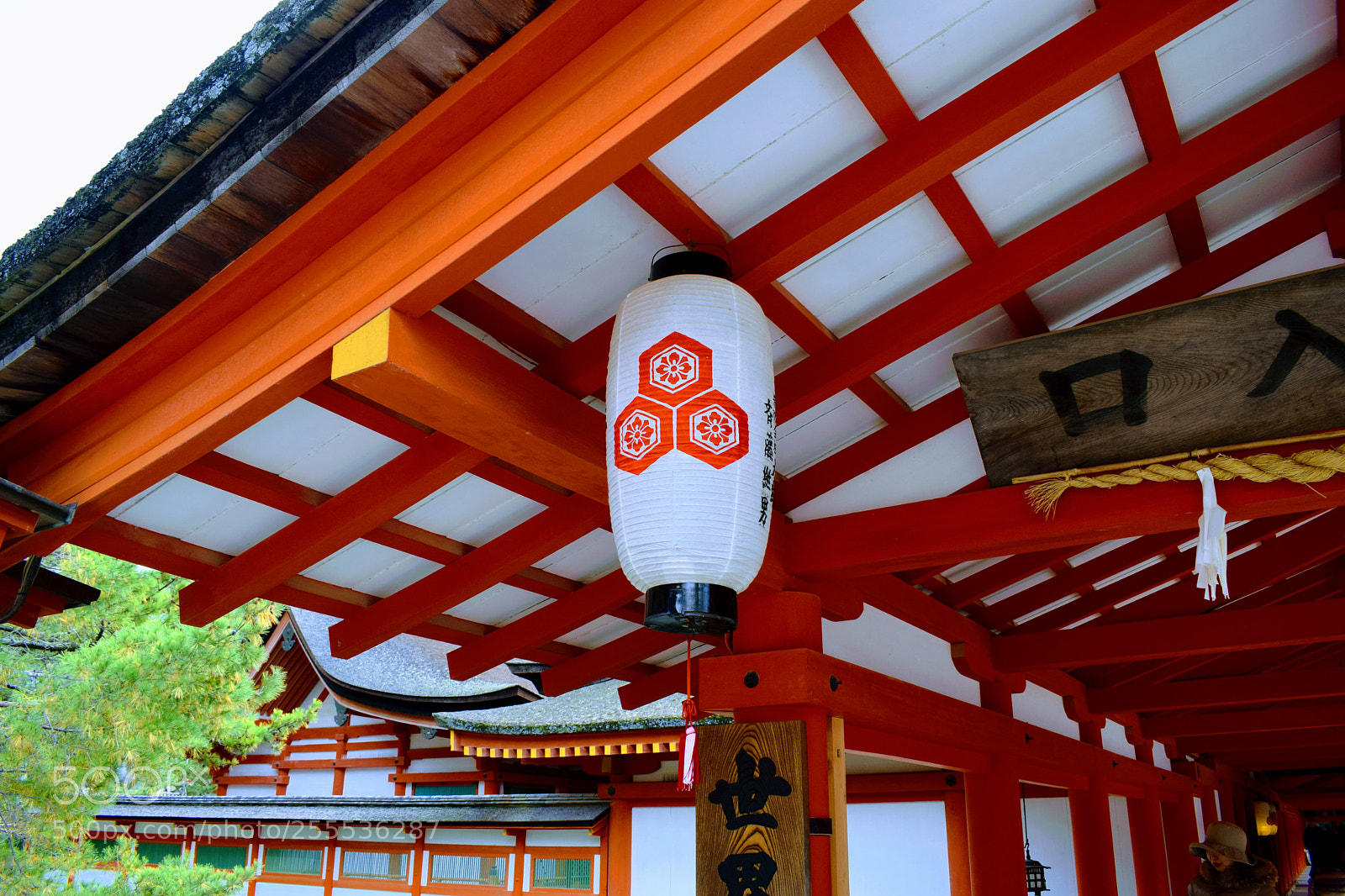Nikon D3300 sample photo. Dsc photography