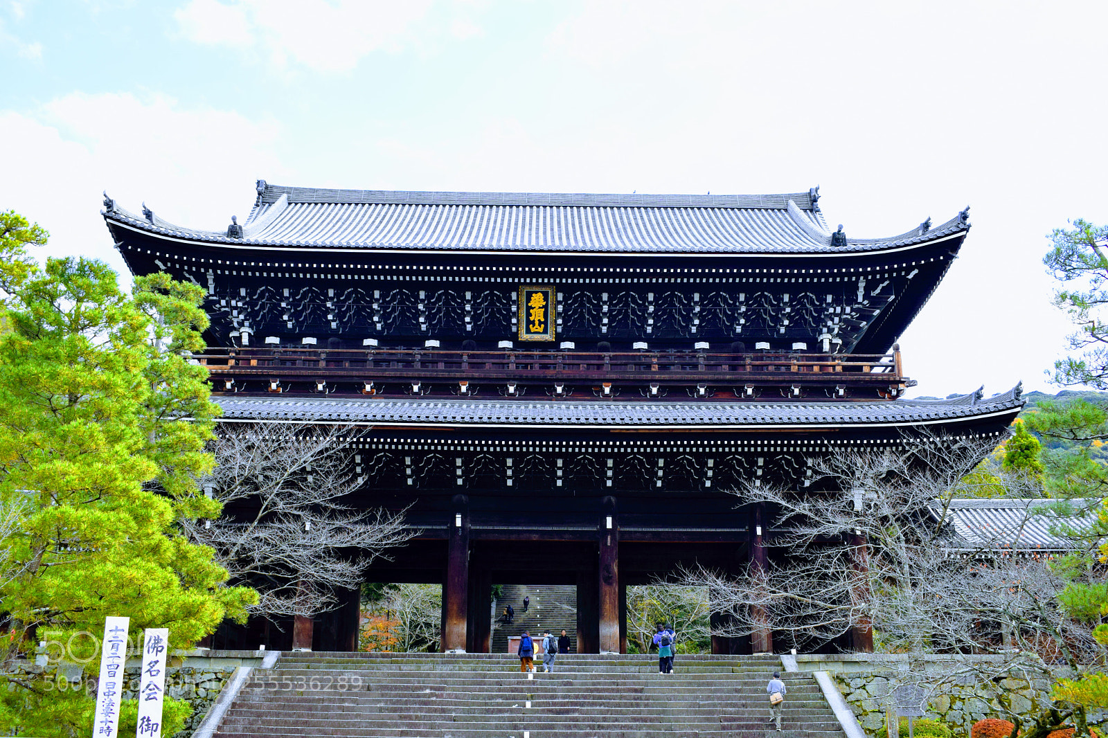 Nikon D3300 sample photo. Dsc photography