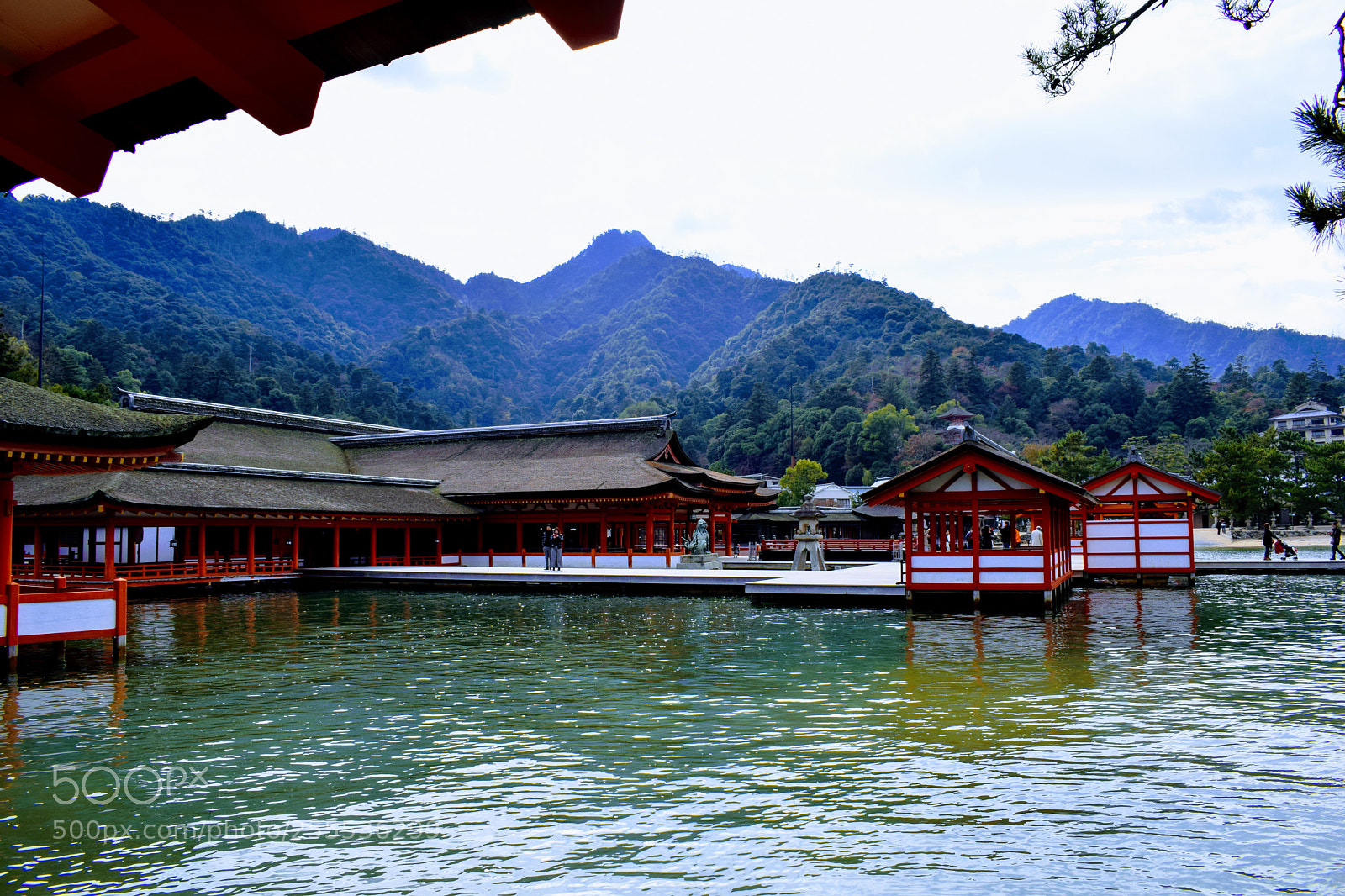 Nikon D3300 sample photo. () photography