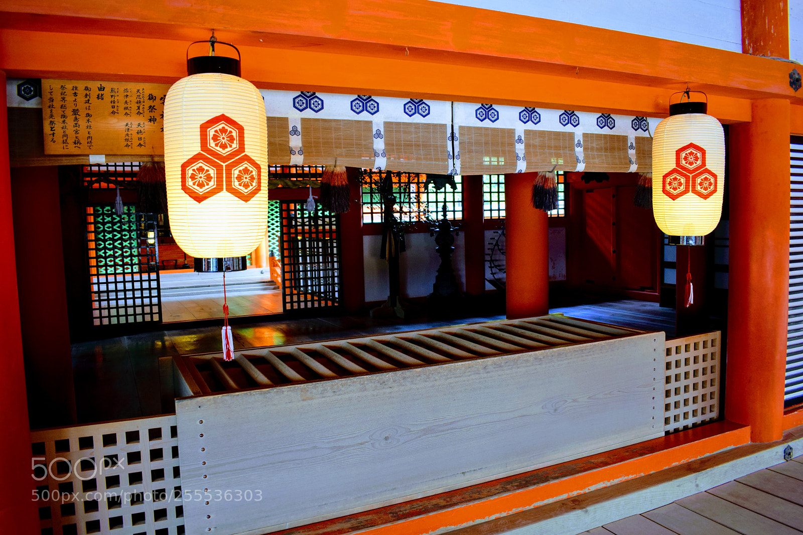 Nikon D3300 sample photo. Dsc photography