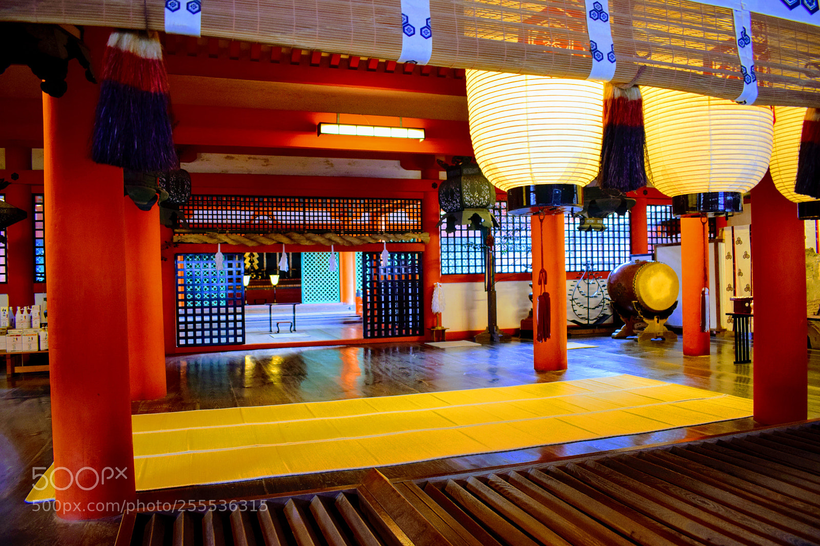 Nikon D3300 sample photo. Dsc photography