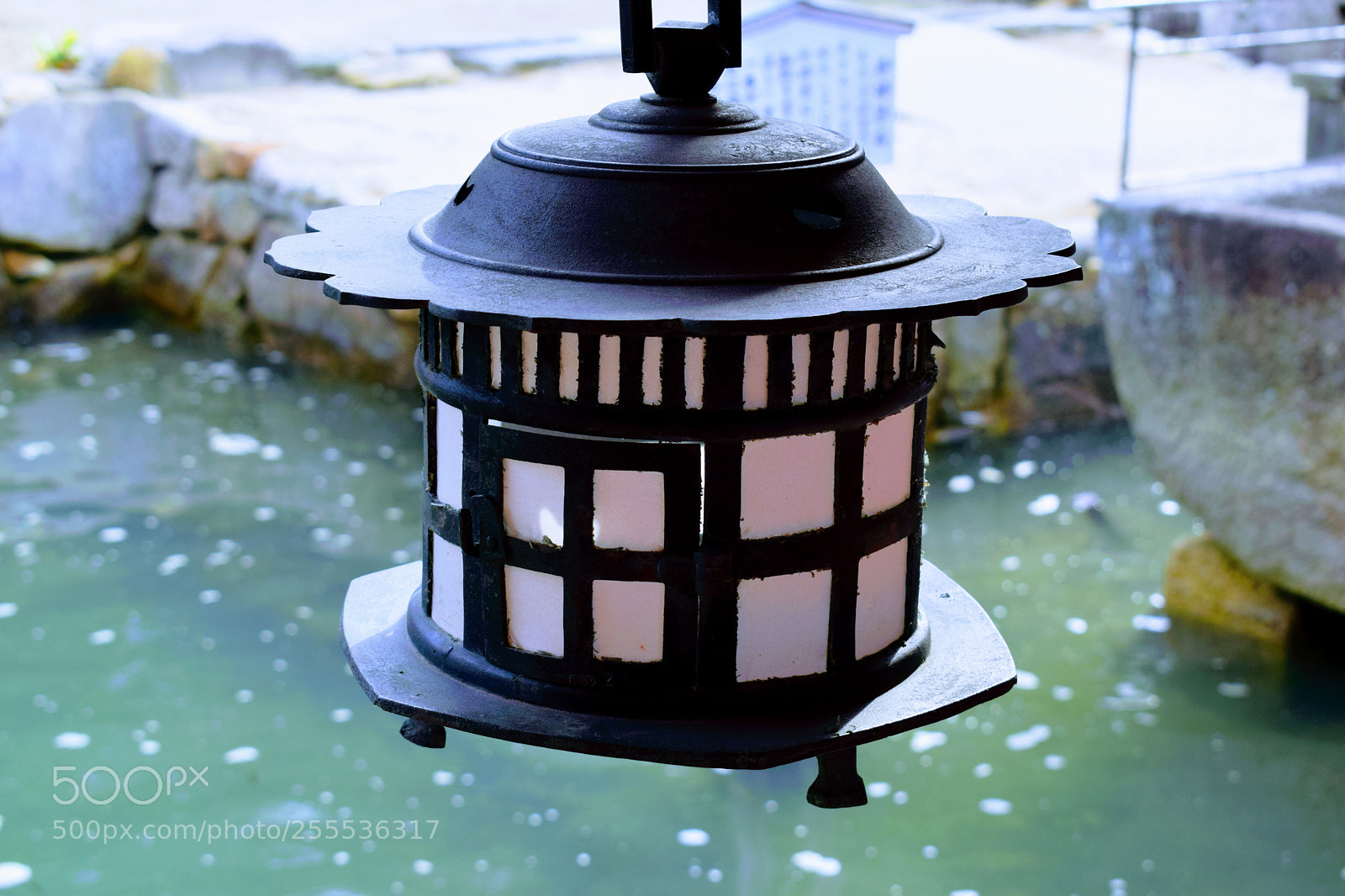 Nikon D3300 sample photo. () photography