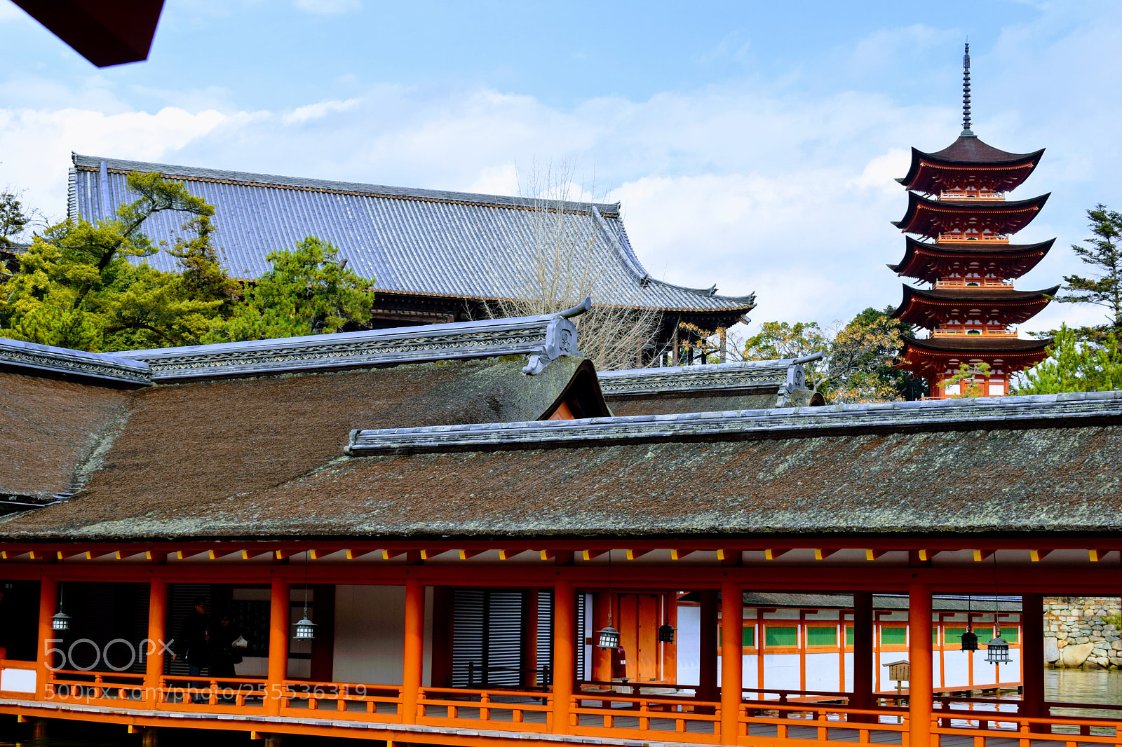 Nikon D3300 sample photo. Dsc photography