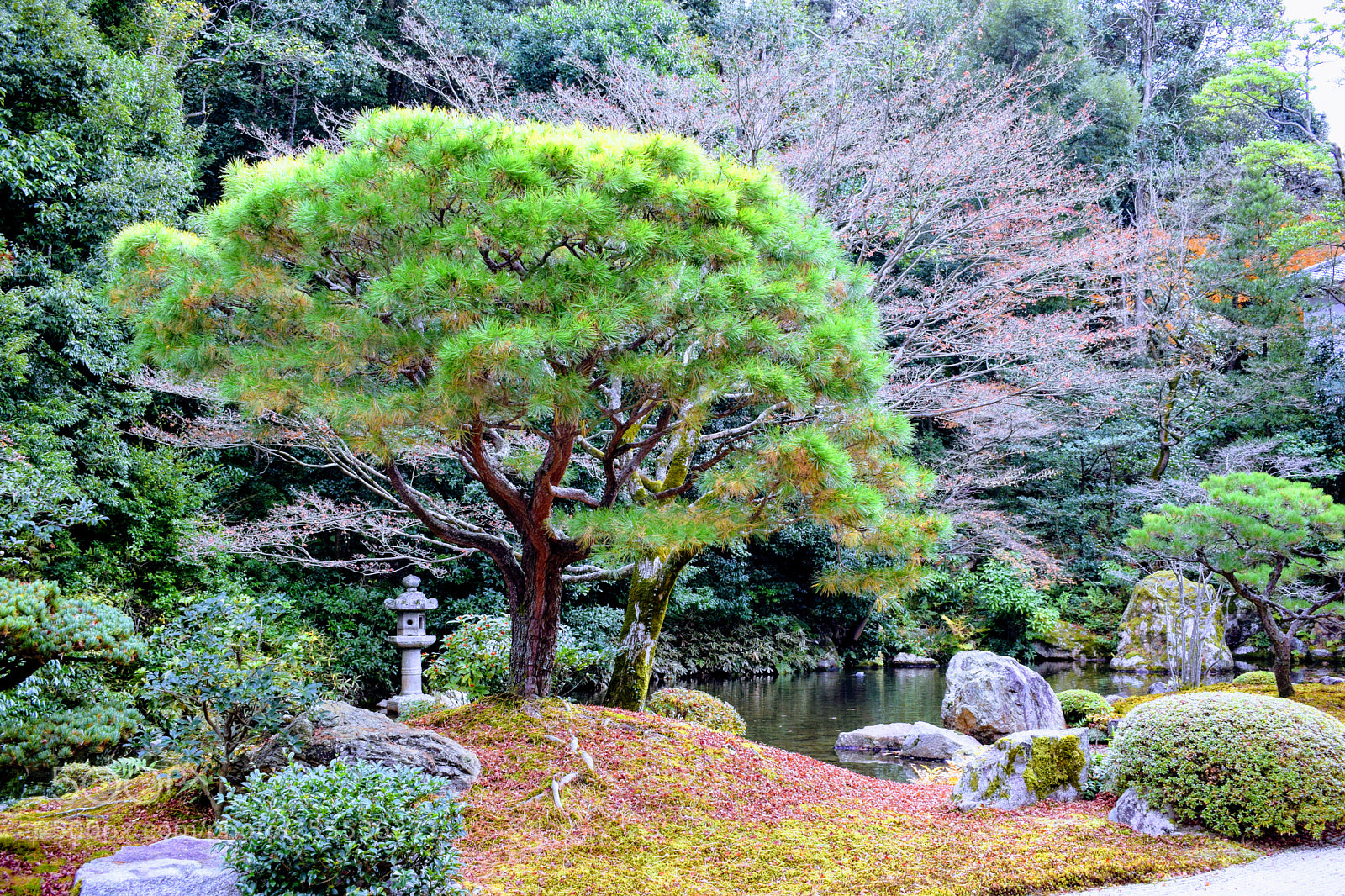 Nikon D3300 sample photo. Dsc photography