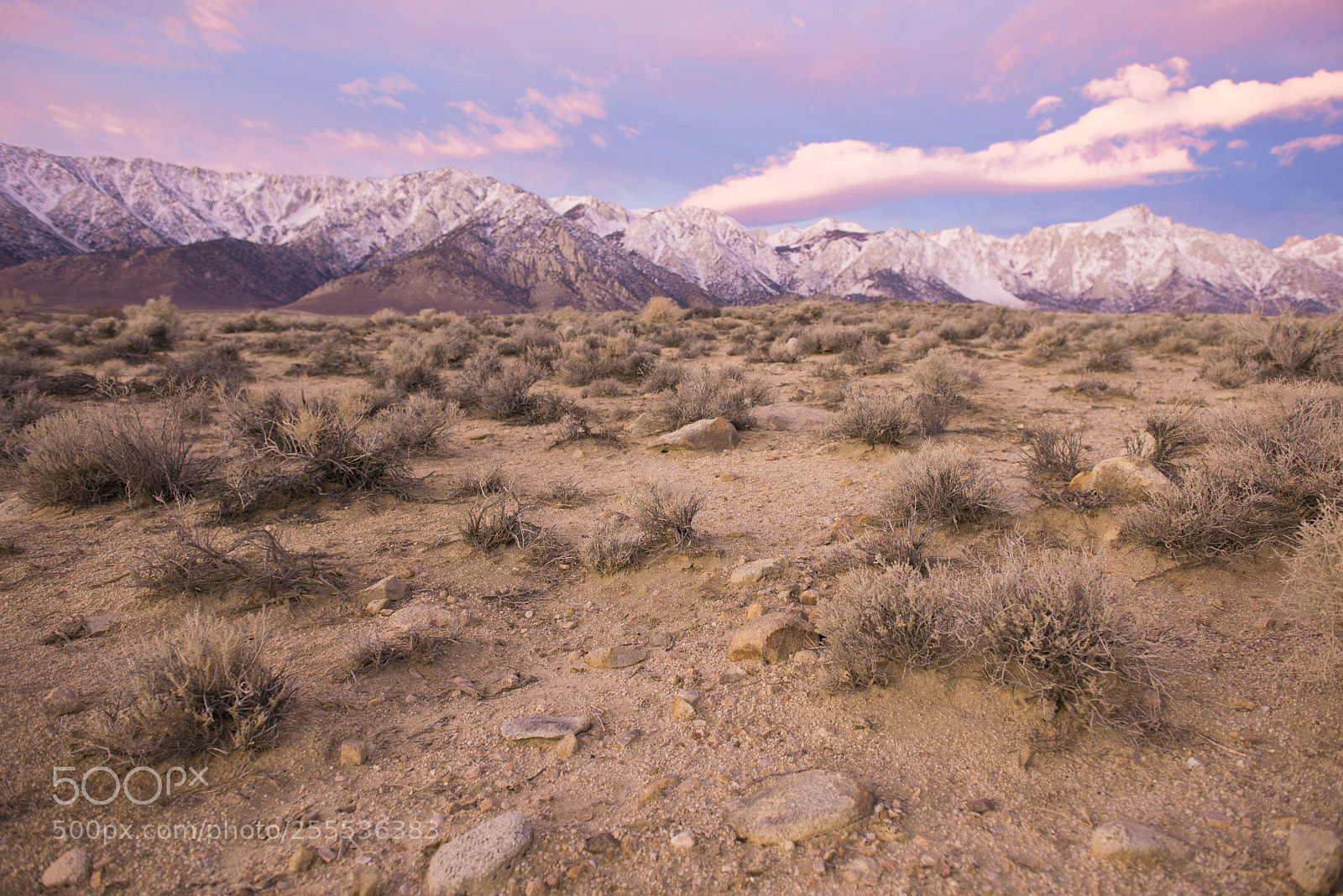 Nikon D610 sample photo. Outside dv photography