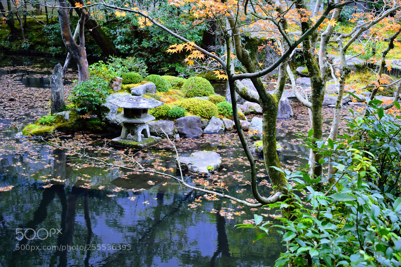 Nikon D3300 sample photo. Dsc photography